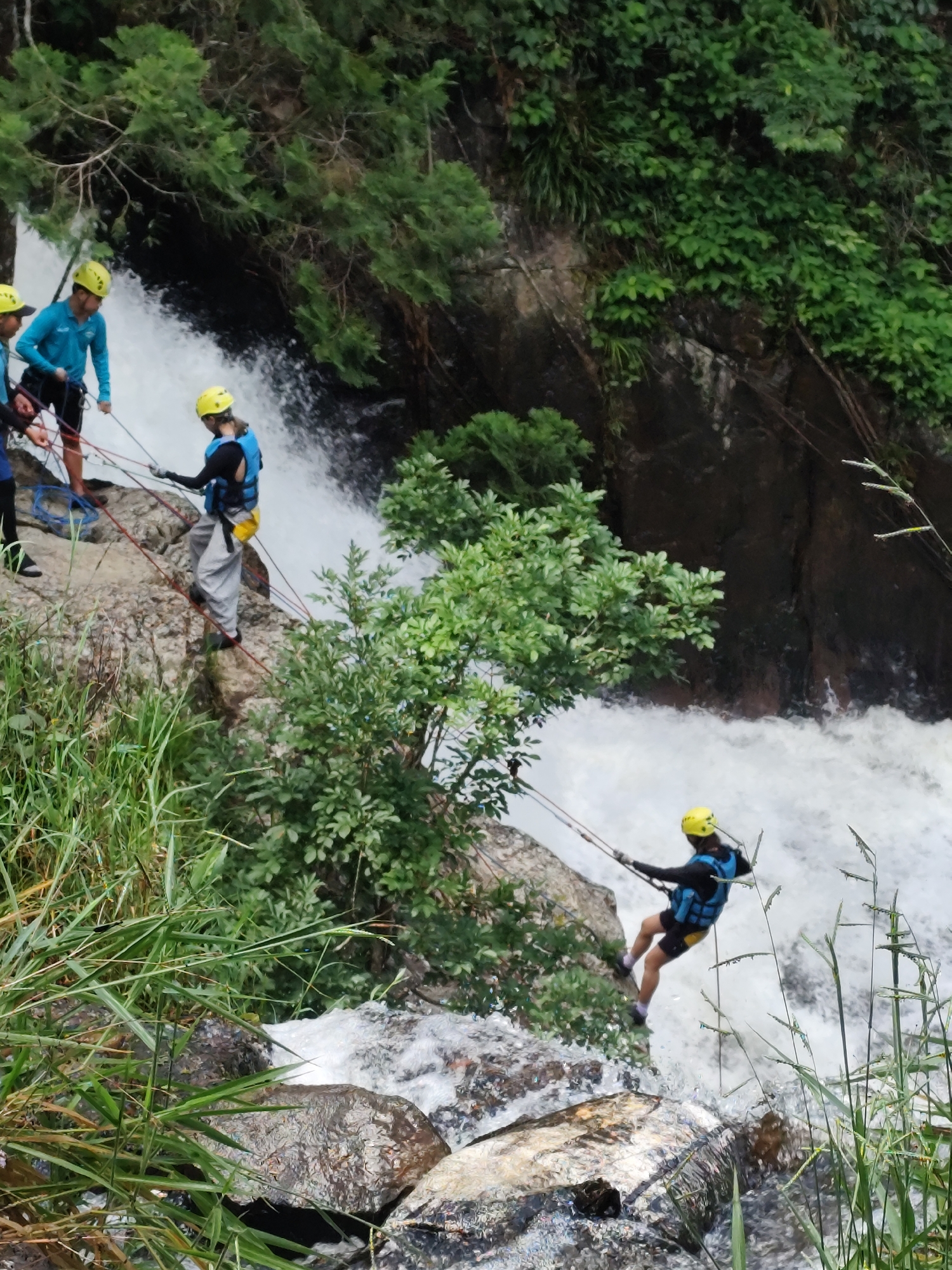 The image depicts a group of individuals engaged in rappelling down a waterfall, likely in Da Lat, Vietnam, a city known for its numerous waterfalls and adventure tourism. In the foreground, lush green grass and moss-covered rocks suggest a natural, untamed environment. Several people, equipped with yellow helmets and life vests, are actively descending the rocky cliff face, utilizing ropes for support. The cascading white water of the waterfall creates a dynamic and powerful backdrop. The overall scene conveys a sense of adventure and outdoor activity within a scenic, natural setting.