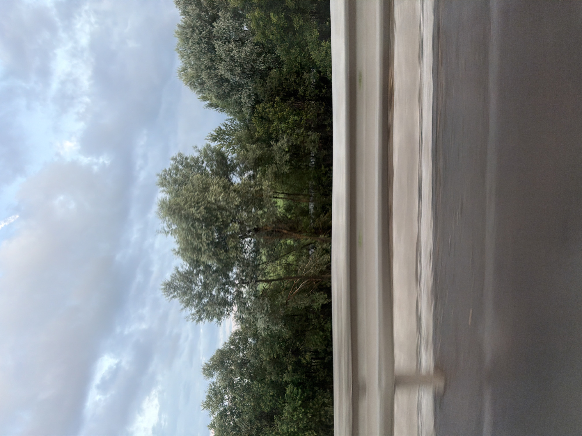 The image captures a roadside view from a vehicle in motion, likely on a highway or a road with a barrier. In the foreground, a blurred horizontal metal barrier is prominent, separating the road from the scenery beyond. The road surface itself is dark and appears wet or reflecting light, also showing motion blur. Behind the barrier, a dense line of trees forms a backdrop, with varying shades of green foliage indicating different types of trees and bushes. The sky above is overcast with scattered clouds, presenting a muted, diffused light. While the general landscape suggests a natural or semi-rural environment, no specific landmarks or identifiable features are visible to pinpoint the exact location within Кондратово, Russia. There are no people or animals present in the frame. The overall impression is one of passing through a vegetated area.