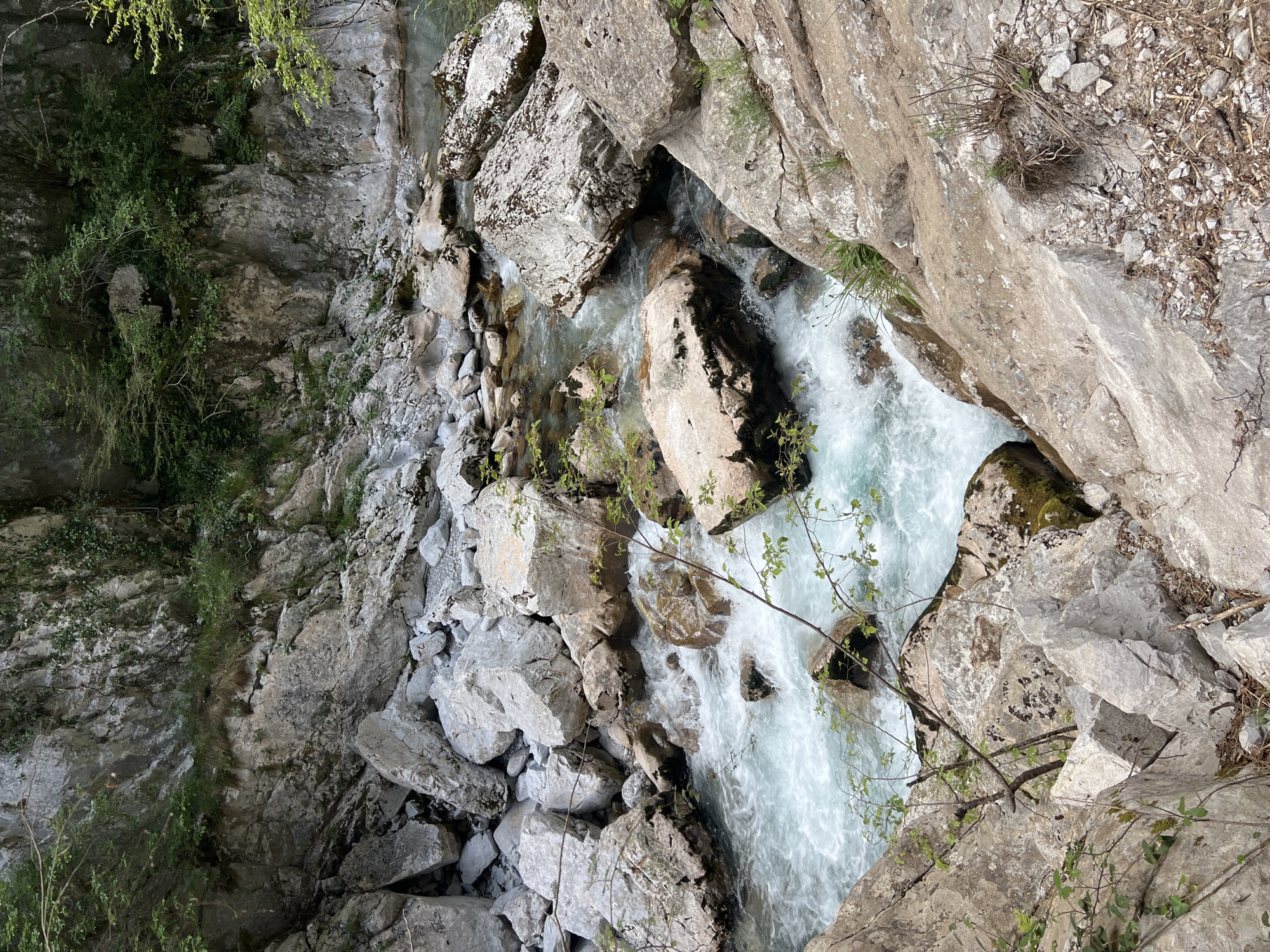 The image depicts a rugged canyon landscape, likely in or near Lazba, Montenegro. A river flows rapidly through a narrow gorge formed by large, grey rocks and cliffs. The water appears turbulent and milky blue-white. Vegetation clings to the rock faces. The scene is captured from an elevated perspective, looking down into the canyon. There are no people visible.