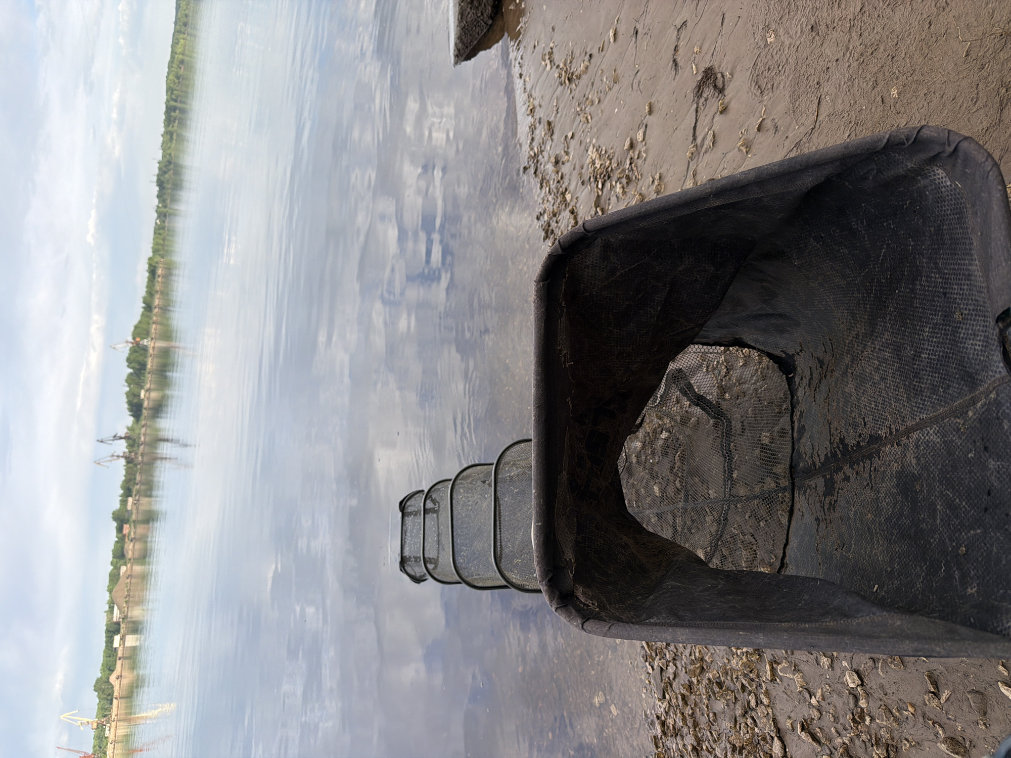 A black, rectangular keepnet sits on the muddy bank of the Kama River in Chaikovsky, Russia. The river surface reflects the sky and the city skyline with cranes. The bank is littered with small shells.