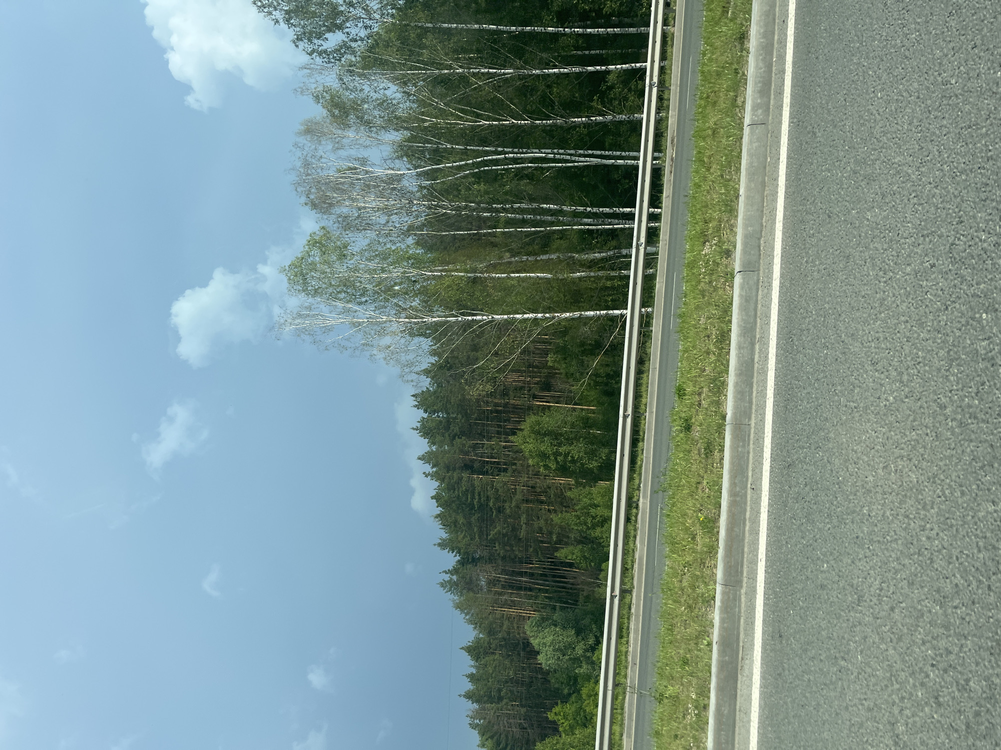 The image captures a scenic view of a highway bordering a dense forest in Zelenodol'sk, Russia. The highway, paved with asphalt, features white lane markings and a concrete curb. A metal guardrail separates the highway from a grassy shoulder. Beyond the shoulder, a line of tall, slender birch trees with white bark stands out against a backdrop of dark green coniferous trees. The sky above is a mixture of pale blue with scattered white clouds, with a darker, more ominous cloud formation visible on the left side of the frame. No people or vehicles are present in the image.