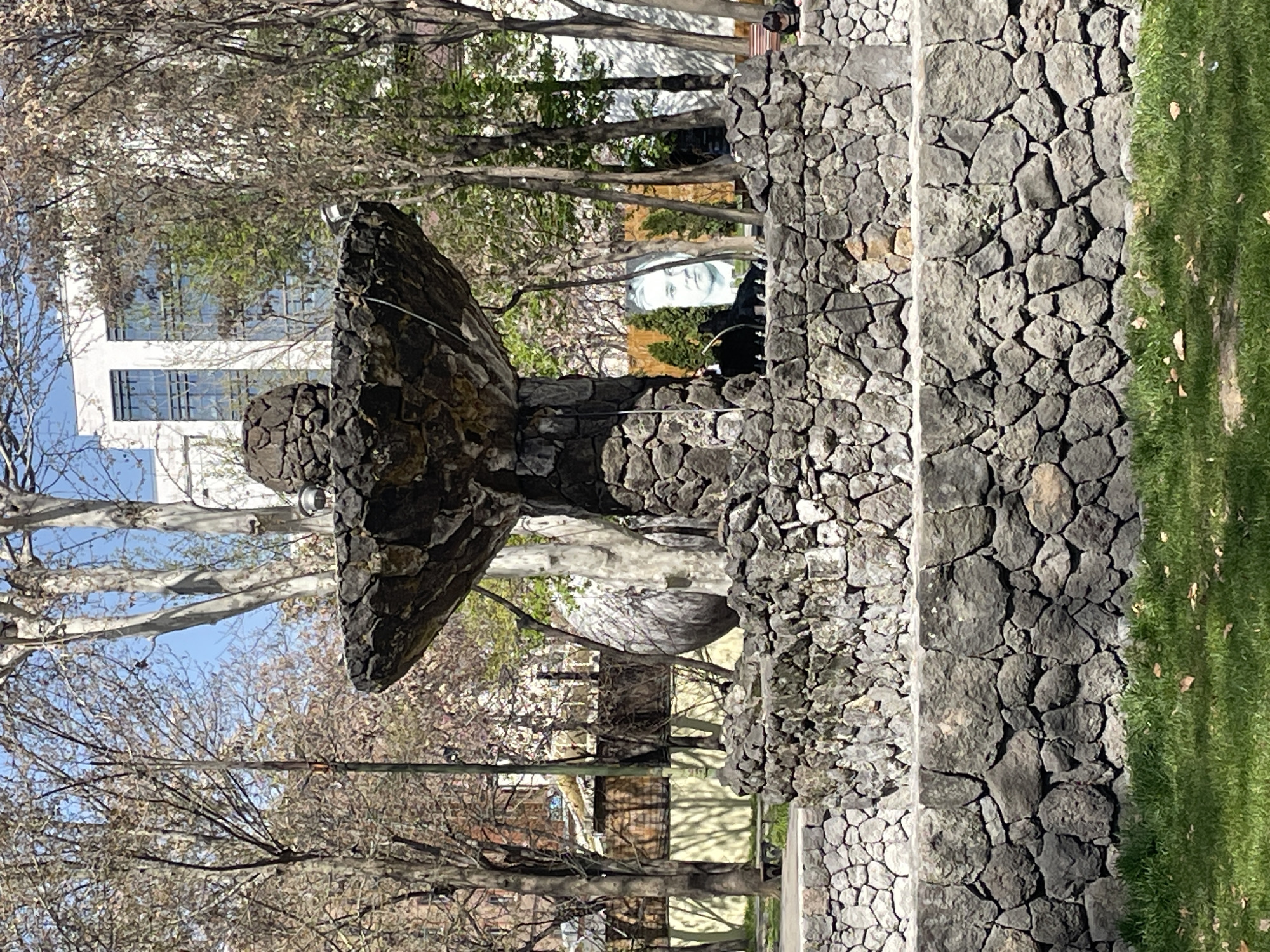 The image captures an outdoor scene, likely a public park or square in Yerevan, Armenia, bathed in bright daylight under a clear blue sky. In the foreground, a distinctive, multi-tiered stone fountain or sculpture dominates the left side of the frame. It's constructed from dark, irregularly shaped stones, giving it a rugged, organic appearance, possibly resembling stacked mushroom caps or stylized rock formations.
To the right of this central feature, a series of low stone walls or planters, also made of similar grey stones, create a terraced effect, bordering a strip of vibrant green grass that runs vertically along the right edge of the photograph.
The background is rich with vegetation, primarily consisting of numerous deciduous trees. Many trees appear to be in early spring, with bare branches or just beginning to bud, while some retain a fuller canopy of light green leaves. Through the trees and behind the stone structures, several elements are visible. On the left, a modern white building with dark, rectangular windows is partially seen. More notably, in the mid-background, peeking through the foliage and stone, is a large white sculpture of a human face, possibly a bust or relief, with clear, classical features. A white van or car is also partially visible among the trees further back.
The clear lighting suggests a sunny day, likely morning or afternoon. The scene is static, depicting a tranquil urban green space. No human activity or visible text is present.