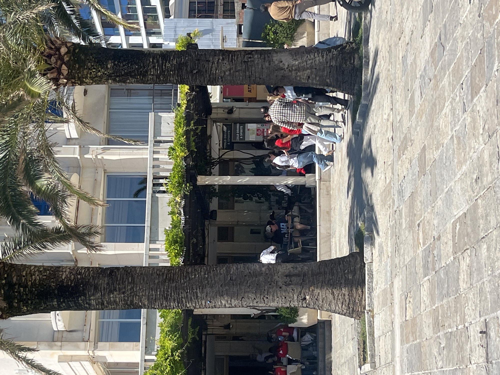 The image shows a street scene in Budva, Montenegro, lined with buildings and palm trees. A sidewalk constructed with light-colored rectangular paving stones runs along the right side. People are visible walking and congregating near a row of businesses with outdoor seating, including cafes and shops. The foreground is dominated by two large palm trees with textured trunks. The buildings are multi-story, light-colored, and feature windows and balconies. Lush green vegetation is also present, adorning the building facades.