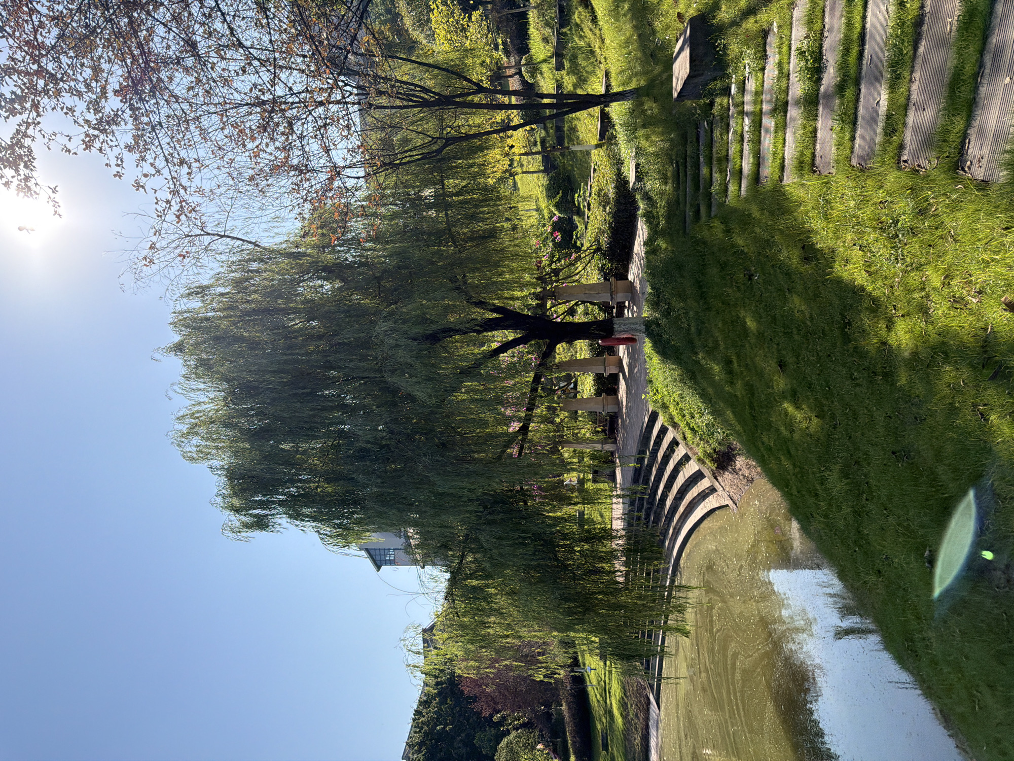 The image shows a park in Jiangjin, China, on a sunny day. A large willow tree with drooping branches dominates the center of the frame. To the left, a pond with murky, green water reflects the sky. Curved concrete steps lead down to the pond from the grassy bank. To the right, a path made of wooden planks winds up a sun-drenched grassy hill. In the background, a building with a modern architectural style is visible amongst trees. Sunlight streams down from the upper right corner, creating lens flare and casting long shadows. The overall impression is one of a serene, natural setting within an urban environment.