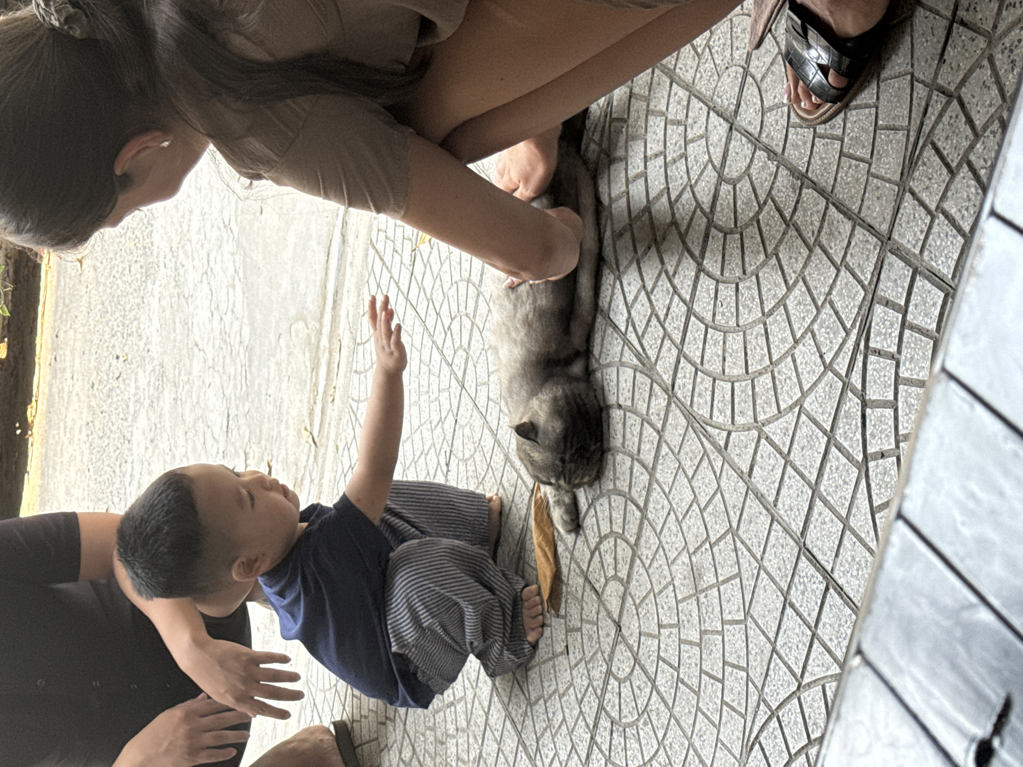 A top-down shot of a person, a child, and a cat on a patterned tile surface. The person kneels and pets the gray cat while the child sits with one arm raised. The surroundings appear to be an outdoor patio or similar area with a gray tile design underfoot. The setting does not provide enough information to determine if the location is in the city of Đà Nẵng, Vietnam.