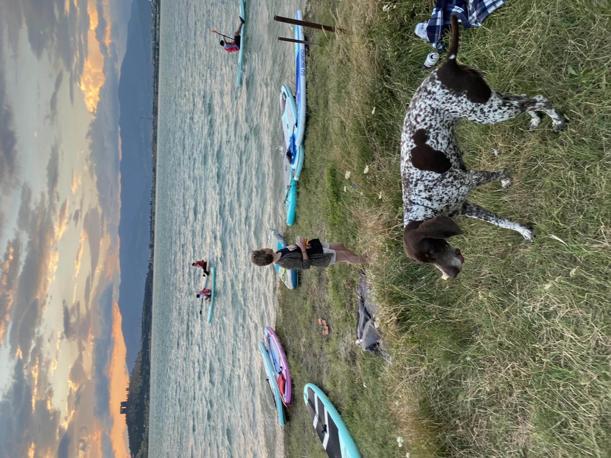The image depicts a scenic view of the Tbilisi Sea, a reservoir located on the outskirts of Tbilisi, Georgia. In the foreground, a brown and white speckled dog stands on a grassy area next to a collection of paddleboards. The dog is looking towards the left side of the frame. A woman in a grey cardigan and white shorts is standing further back near the water, holding a drink.
In the background, several people are paddleboarding on the wavy surface of the reservoir. The sun is setting, casting a warm glow on the sky, which is filled with dramatic clouds. Distant mountains form a hazy silhouette against the colorful sky, and a large, imposing structure, possibly a fortress or castle, is visible on a hill in the far distance, to the left of the frame. The overall scene captures a serene and picturesque evening at the Tbilisi Sea.