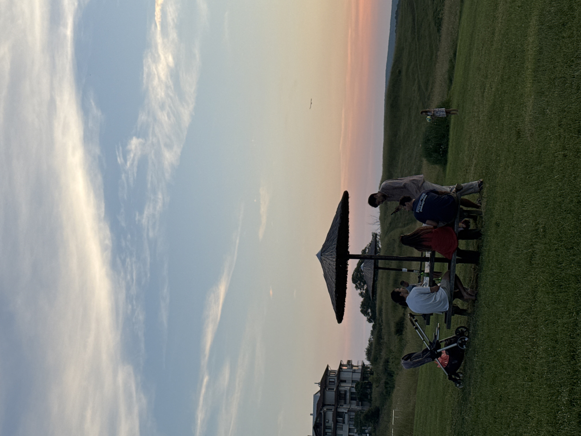 This image displays an outdoor sunset scene in Sinemorets, Bulgaria, featuring a social gathering on a grassy hillside. In the center, a group of at least six individuals is seated around a wooden picnic table with attached benches, shaded by a prominent, dark, thatched umbrella. A dark-colored baby stroller is positioned on the grass to the immediate left of the table.
Details of the people at the table include: a man with long dark hair, wearing a light-colored t-shirt and shorts, seated barefoot on the left bench; a woman with long dark hair in a red dress seated opposite him; and a man in a dark blue t-shirt with "Patagonia" branding seated on the right bench, facing left. Another man in a light-colored long-sleeved shirt stands behind the table, looking down at a mobile device in his hands. A green bottle is visible on the table surface. A second, smaller thatched umbrella is partially visible behind the main group.
Further to the right in the mid-ground, a child in a light-colored dress stands on the gently sloping grassy terrain, holding a colorful, possibly inflatable, ball. To the far left in the background, a multi-story, apartment-style building with multiple balconies is situated on an elevated plot of land.
The sky exhibits a gradient from pale blue with wispy white clouds at the top, transitioning to a warm orange and pink hue along the horizon, indicative of twilight or sunset. A solitary dark bird is silhouetted in flight in the upper right portion of the sky. The foreground and mid-ground consist of green grass, suggesting a park or rural setting.