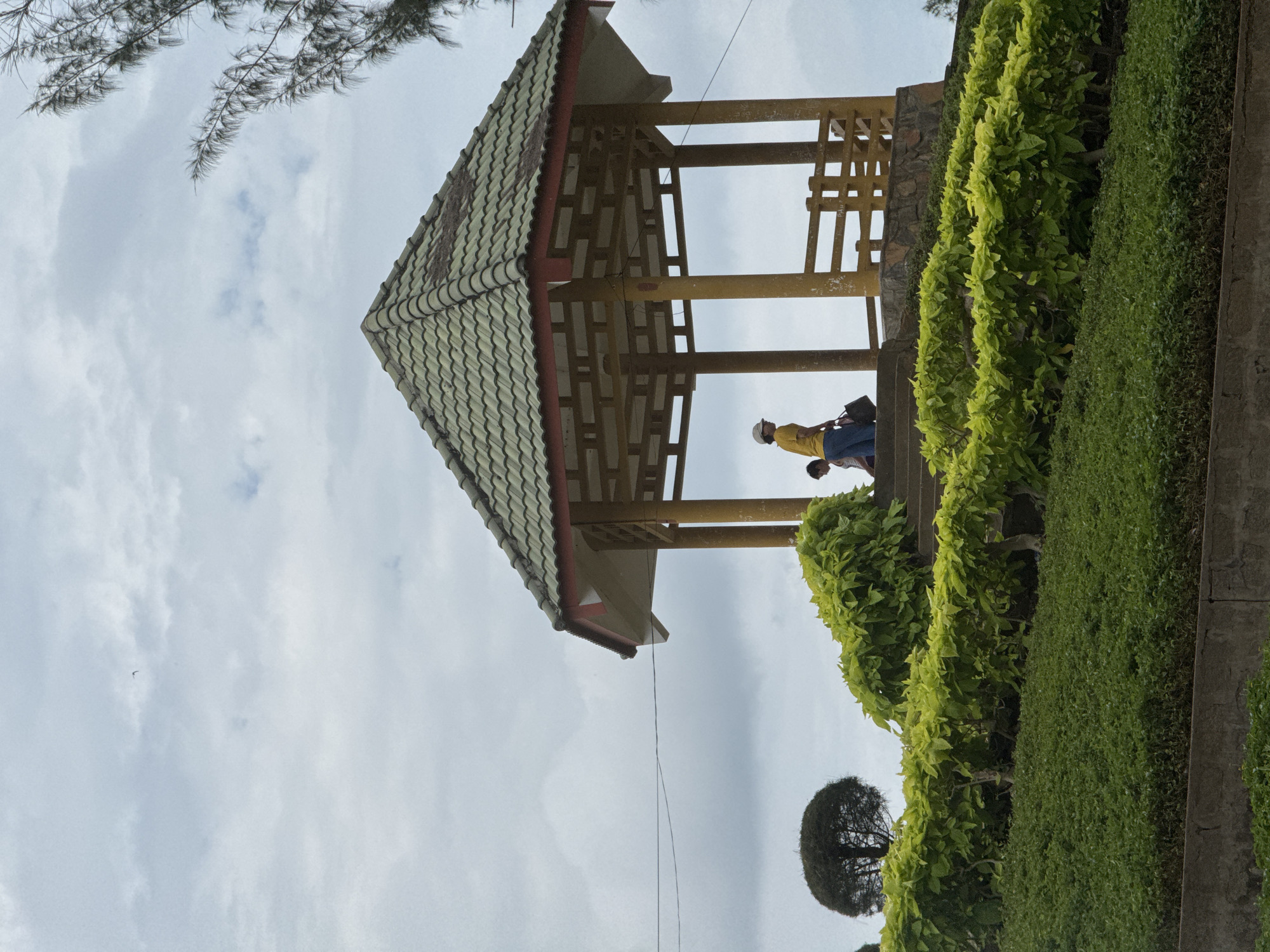 The image captures a scenic view in Phan Thiết, Vietnam, featuring a prominent open-air pavilion with a distinctive green tiled roof. The pavilion is supported by yellow pillars and has a lattice-like wooden railing. In the foreground, lush green vegetation forms tiered landscaping, with brighter, lighter green bushes cascading down the slope. Behind the pavilion, stairs lead up to the structure, and a few individuals are present. One person, wearing a yellow shirt and a white cap, is holding a dark bag and standing on the stairs. Another person, partially visible, is near them. The sky above is overcast with gray clouds, suggesting a temperate or potentially rainy day. A single bird is visible in the sky, and a tall, spiky tree branch extends into the frame from the right side. A lone, rounded tree stands on the left side of the frame, adding to the natural ambiance of the location. The overall scene depicts a serene outdoor setting, likely a park or a viewpoint, in Phan Thiết.