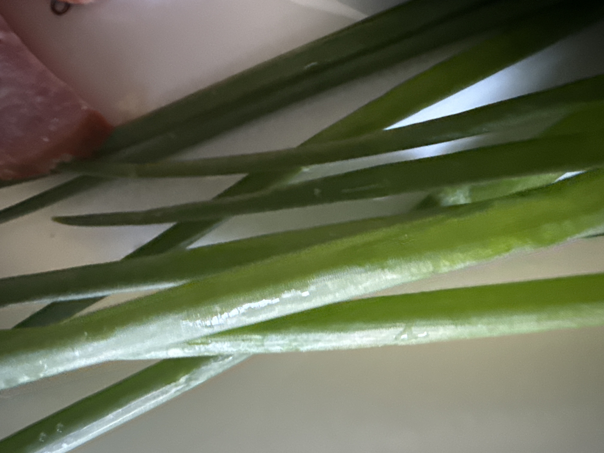 This is a close-up, indoor, still life photograph focusing on several bright green scallions, or green onions, arranged diagonally across the frame. The scallions are a vibrant green, with some appearing to have a slight sheen or water droplets on their surfaces. Their stalks are smooth and cylindrical, and they are positioned close together, creating a sense of depth and texture. In the upper right corner of the image, a small portion of a pinkish-red object is visible, which appears to be raw meat, possibly pork or beef, also on a white surface. The background is mostly a soft, out-of-focus white, suggesting a clean surface like a plate or countertop. There are no people or discernable actions taking place in the image. The lighting is bright and even, highlighting the details of the vegetables. The scene is domestic and relates to food preparation or presentation. There is no information within the image to suggest a location in Okhtyrka, Ukraine.