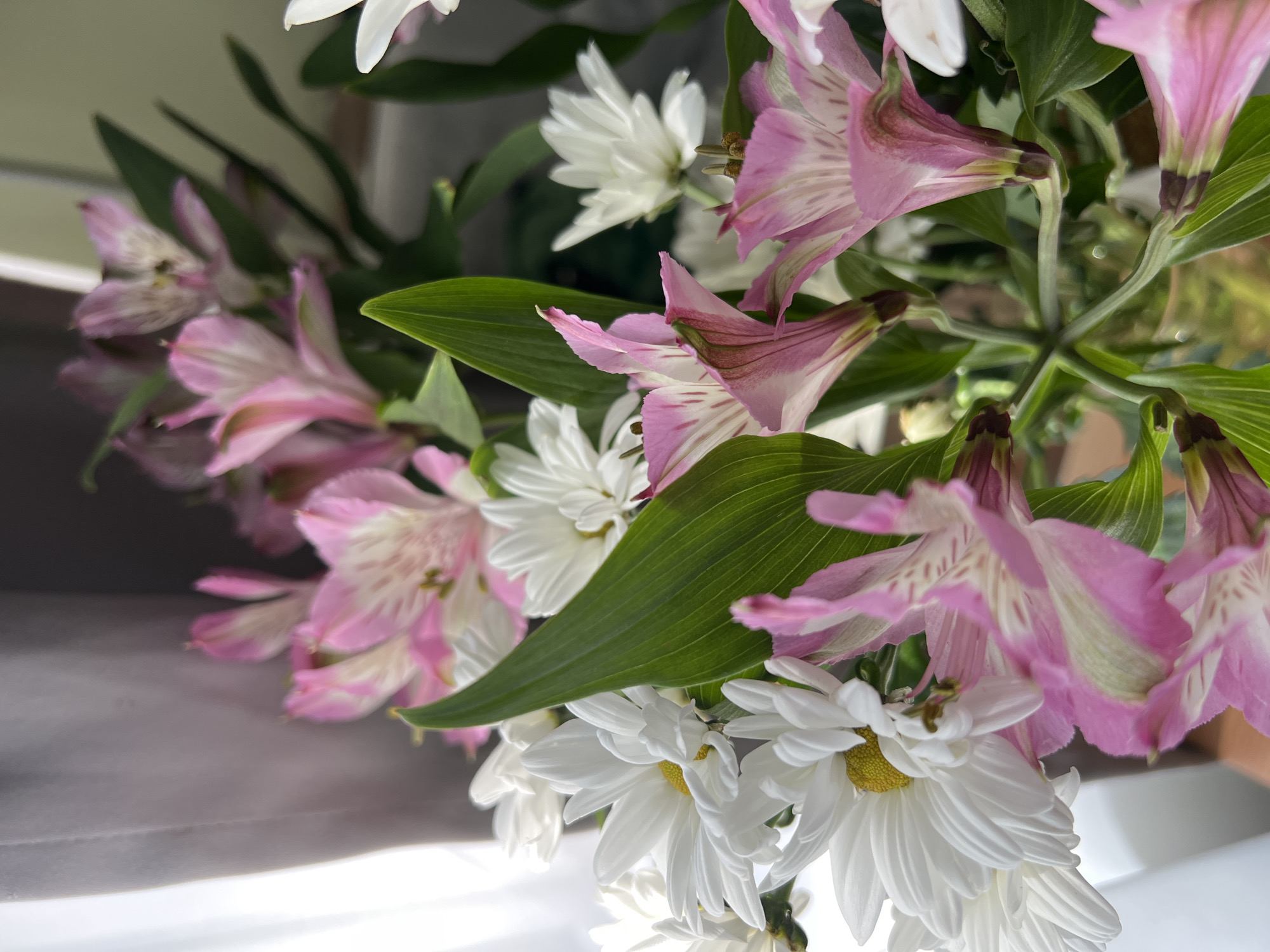A close-up photograph displays a bouquet of mixed flowers, predominantly featuring white daisies and pink alstroemeria, arranged in a vase. The flowers are clustered together, with some partially obscured by other blooms and lush green leaves. The lighting suggests an indoor setting, possibly near a window, casting soft shadows on the petals and foliage. The background is blurred, with hints of a grey curtain on the left and a lighter, neutral tone on the right. The image does not depict any specific location in Paratunka, Russia, nor does it contain any people or observable actions. The focus is entirely on the still life arrangement of flowers.