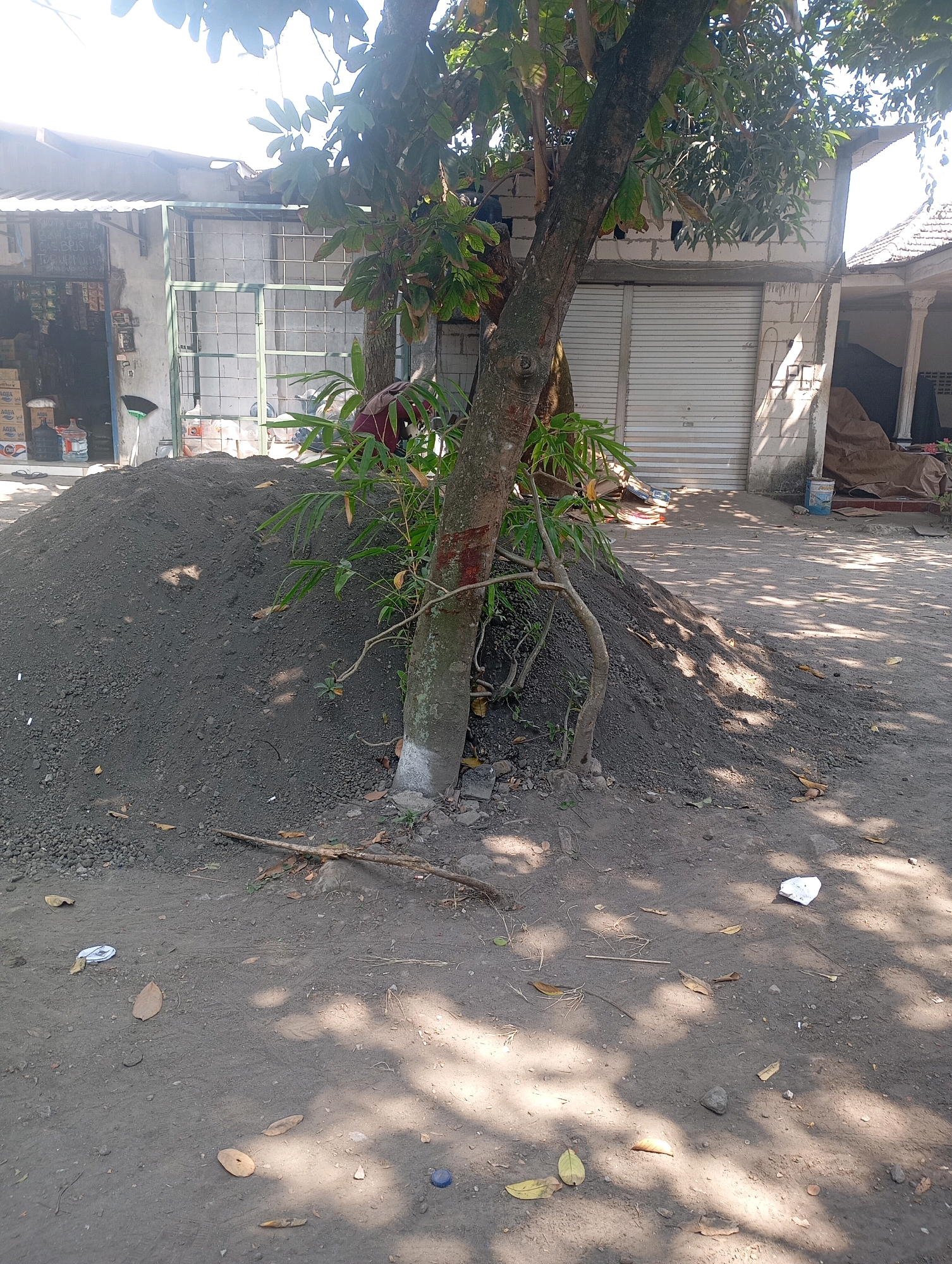 This image shows a pile of dark soil in front of a building with a metal grate door and a roll-up door in Ketegan, Indonesia. A tree with a rough bark trunk stands in front of the soil pile, its branches extending upwards and some leafy vegetation growing at its base. The ground is covered in dry dirt and scattered leaves, with some sunlight filtering through the tree to create dappled shadows. In the background, the building appears to be a shop or commercial establishment, with various items and materials visible inside and around it. A blue bucket is also present near the building. The overall scene suggests an outdoor area adjacent to a business, possibly undergoing some construction or landscaping.