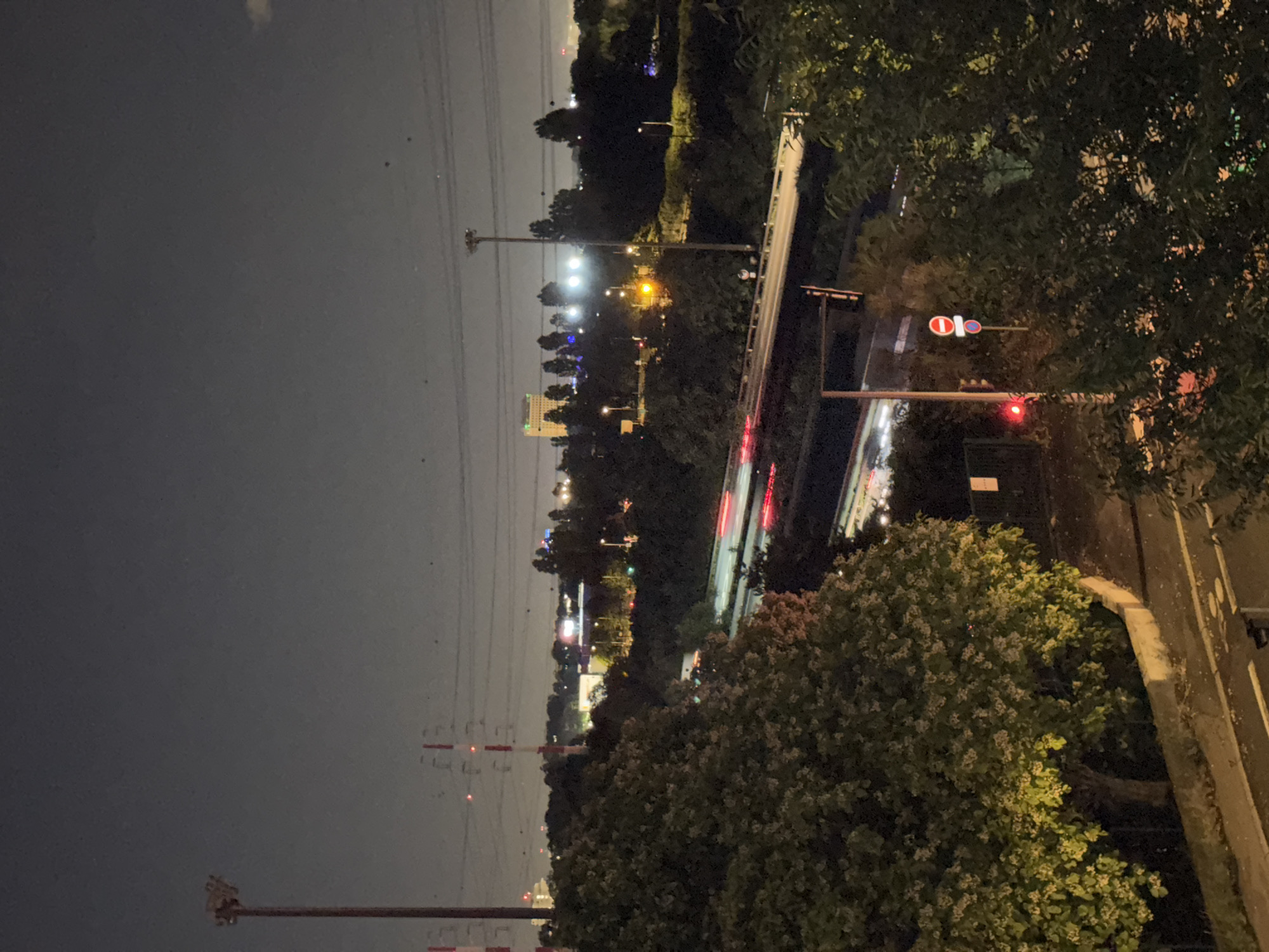 The image depicts a night-time scene of a city highway with traffic light trails. In the foreground, large trees with illuminated leaves are prominent on the left and right sides of the frame. The highway runs horizontally through the mid-ground, with streaks of red and white light indicating moving vehicles. Structures such as power lines and tall light poles are visible in the background, along with illuminated buildings and scattered streetlights. The sky is dark and overcast, with a few distant lights suggesting urban activity. A traffic signal displaying red is visible on the right side of the highway. The scene appears to be an elevated view looking down onto the highway.