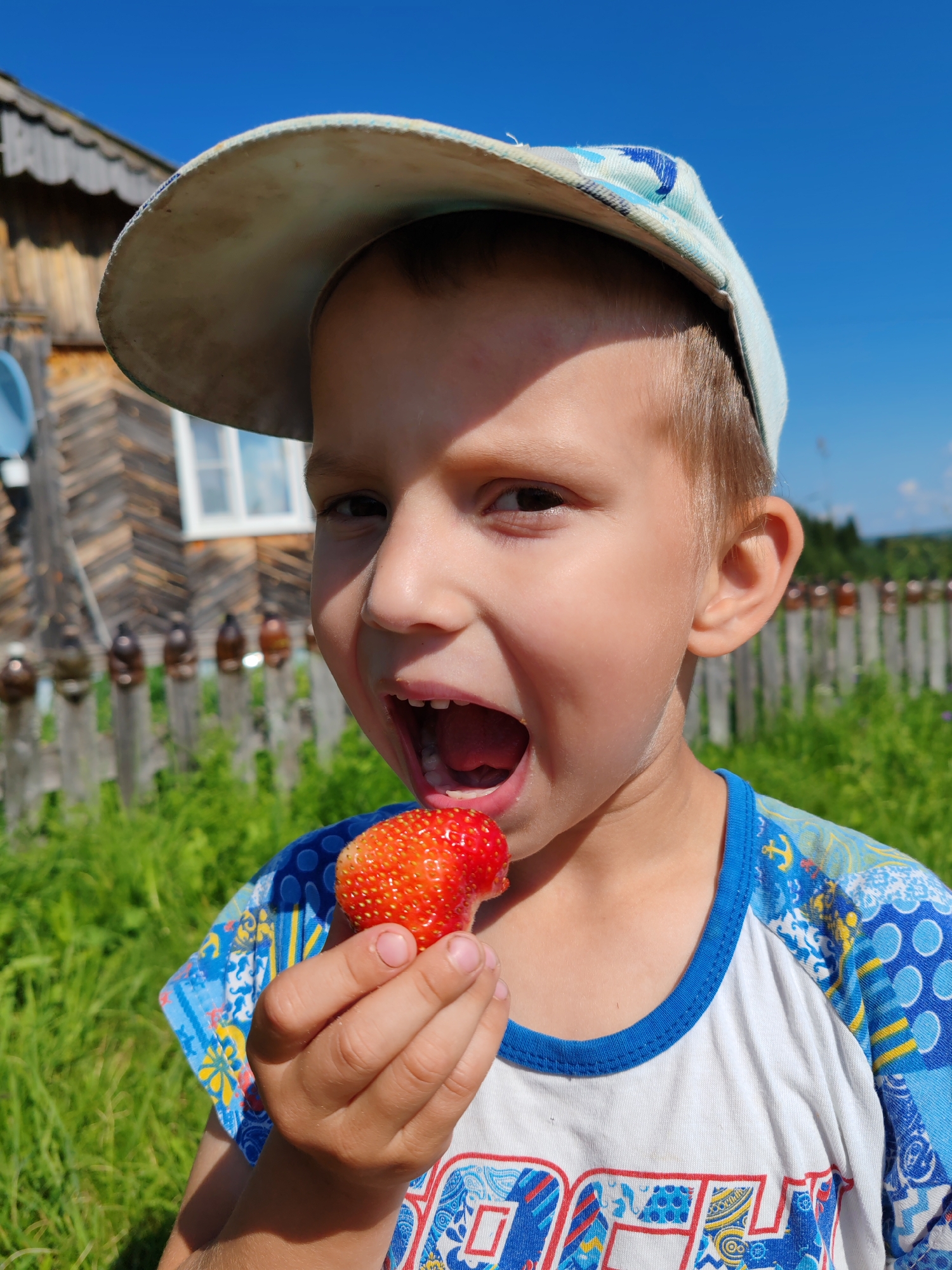 A close-up, eye-level shot captures a young Caucasian boy wearing a light blue baseball cap and a t-shirt with blue and white patterns. The boy is in focus, holding a ripe strawberry up to his open mouth as if to take a bite. His mouth is wide open, revealing his teeth, and his eyes are looking towards the strawberry.
The background, slightly out of focus, depicts a rural scene. Behind the boy, a wooden fence with several brown bottles attached to posts runs horizontally across the frame. Beyond the fence, lush green grass and foliage are visible under a bright blue sky. To the left of the boy, the corner of a wooden house with a sloped roof and a window is visible. The overall setting suggests an outdoor, possibly summery environment. The boy's expression and the strawberry suggest a moment of enjoyment. While the image has been identified as being taken in Chukhlem, Russia, no specific landmarks or elements within the image directly confirm this location.