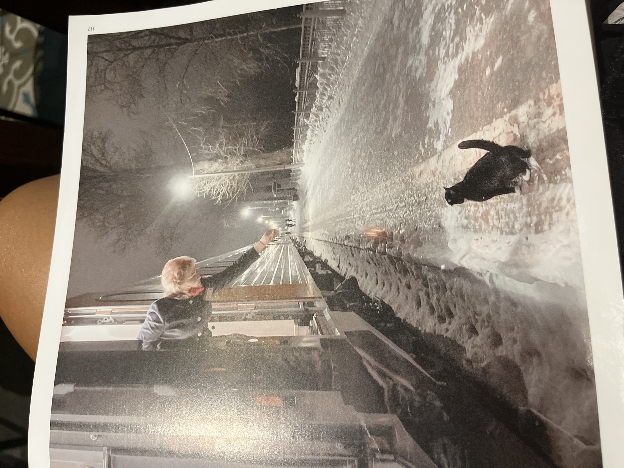 The image shows a photograph of a scene, likely from a book, as evidenced by the page number "117" in the upper left corner. The photo depicts a person with light blonde hair standing on what appears to be a maintenance vehicle on a snowy railway track. The person is reaching forward with their right arm extended. A black cat is visible on the snowy ground near the tracks. The environment is wintry, with snow covering the ground and the railway tracks. Bare trees are visible in the background, illuminated by streetlights. The photo is taken at night. The location cannot be determined from the provided information.
