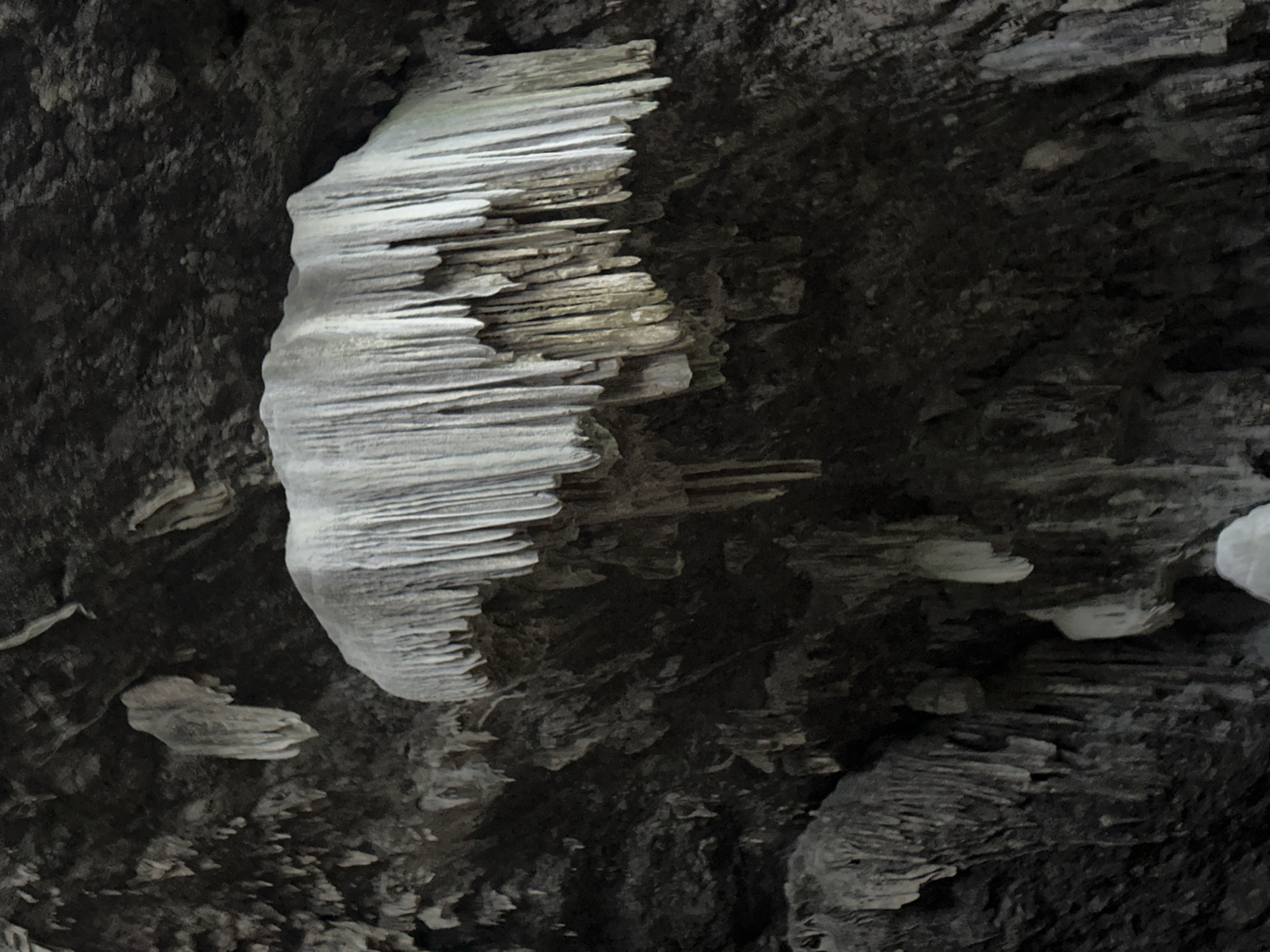 A low-angle, close-up view captures the intricate geological formations of stalactites hanging from the dark, textured ceiling of a cave. The stalactites vary in size and shape, with some appearing thick and bulbous, while others are long and slender, resembling icicles. They are predominantly a pale, off-white color, with hints of gray and brown, suggesting mineral deposits. The cave ceiling is rough and uneven, with deep shadows accentuating its ruggedness. In the foreground, a prominent formation of stalactites forms a dense, curtain-like structure, drawing the viewer's eye. To the left and in the background, smaller, more scattered stalactites are visible, adding depth and texture to the scene. The overall atmosphere is one of natural wonder and ancient geological processes. This image is from Hoa Son cave in Mai Chau, Vietnam.