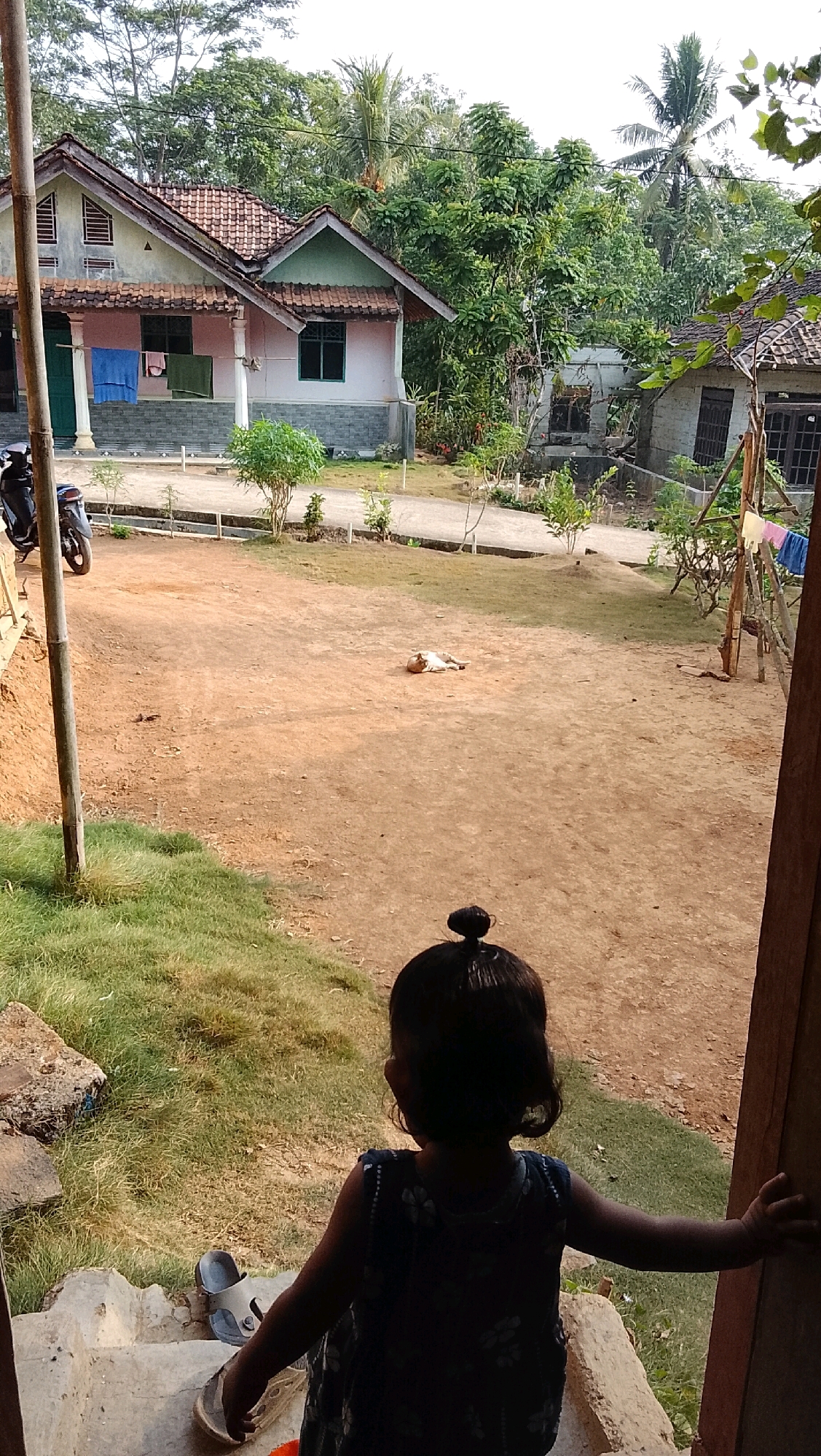 In Way Melan, Indonesia, a young girl with her hair in a bun is viewed from behind, standing on a concrete step. She is wearing a dark sleeveless dress and facing away from the camera, towards an open, dusty yard. To her left, a pair of grey sandals rests on the steps. The yard contains a light-colored dog lying down in the sun. In the background, there are traditional Indonesian houses with tiled roofs, surrounded by lush green trees and vegetation. A motorcycle is parked on the left side of the yard near a bamboo pole. Laundry, including blue and green fabric, is hanging on a clothesline strung between wooden poles. The scene depicts a rural residential area bathed in sunlight.