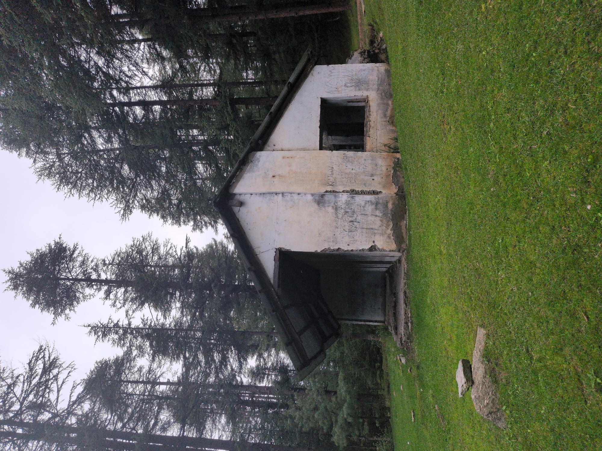 An abandoned, single-story, concrete structure with a tin roof stands in a grassy clearing surrounded by a dense forest of tall, dark green pine trees. The building has a large opening on the left, exposing a dark interior, and a rectangular window opening on the right. The exterior walls are weathered and marked with graffiti. In the foreground, a large rock with a smaller flat stone placed on top sits on the lush green grass. The sky above is overcast and pale. The image appears to have been taken in Chhanikkhod, India.
