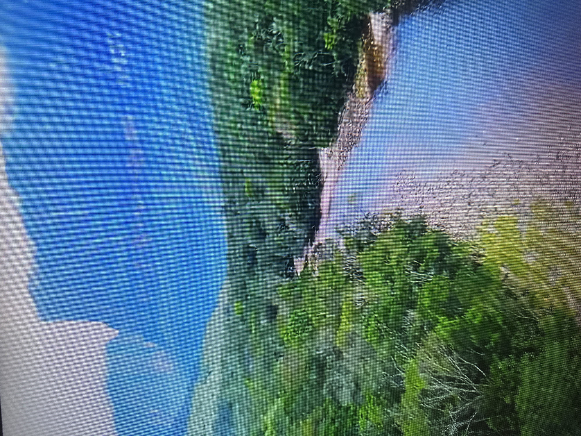 The image shows a wide, calm river flowing through a lush green forest. The riverbanks are lined with stones and vegetation. In the background, a large, flat-topped mountain or mesa rises majestically, its sheer cliffs disappearing into the blue sky. The sky itself is clear and bright. The scene depicts a natural, remote landscape, likely a tropical or subtropical region, characterized by its rich biodiversity and dramatic geological formations. There is no indication that this scene is located in the city of Kyiv, Ukraine.