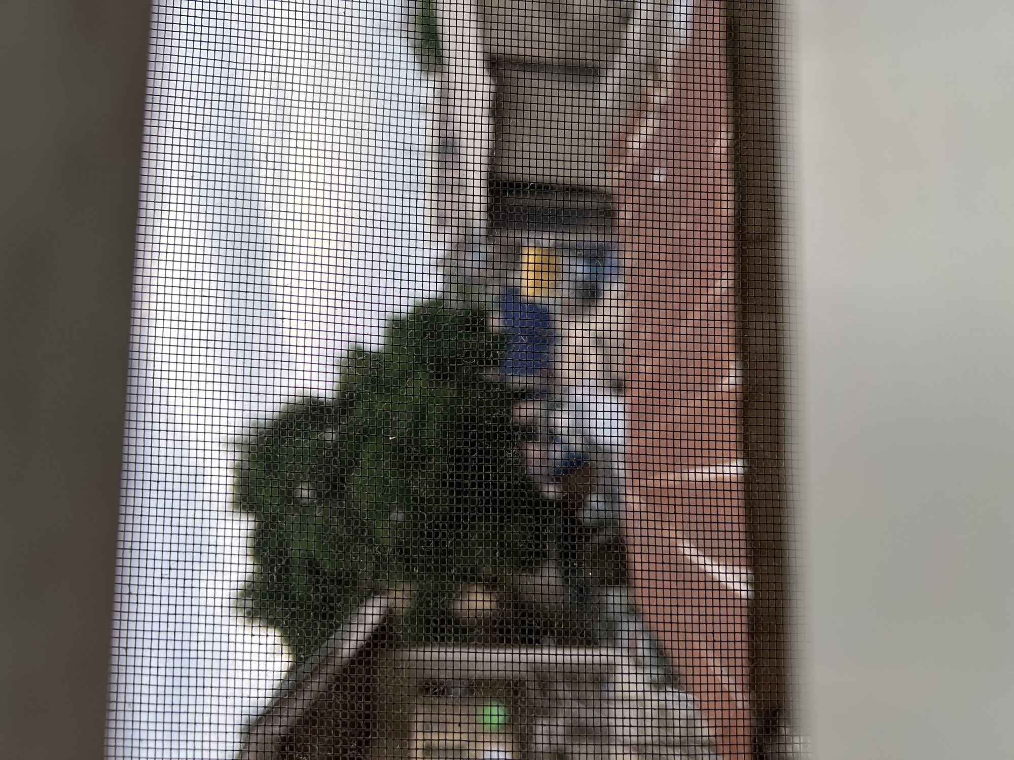 The image captures a scene through a window screen, showing a residential area in Lagos, Nigeria. In the foreground, the mesh of the screen is prominent, creating a grid pattern over the view. Beyond the screen, a large, leafy green tree dominates the mid-ground, its foliage dense and dark. To the left of the tree, a portion of a building with visible brickwork is present. To the right of the tree, several other buildings are visible, some with corrugated metal roofs, typical of many urban areas in Lagos. One building appears to have a light-colored facade. In the background, the sky is visible, overcast with clouds, suggesting a cloudy day or early morning/late afternoon light. There are no discernible individuals in the image. The overall impression is of a densely populated, urban residential environment.