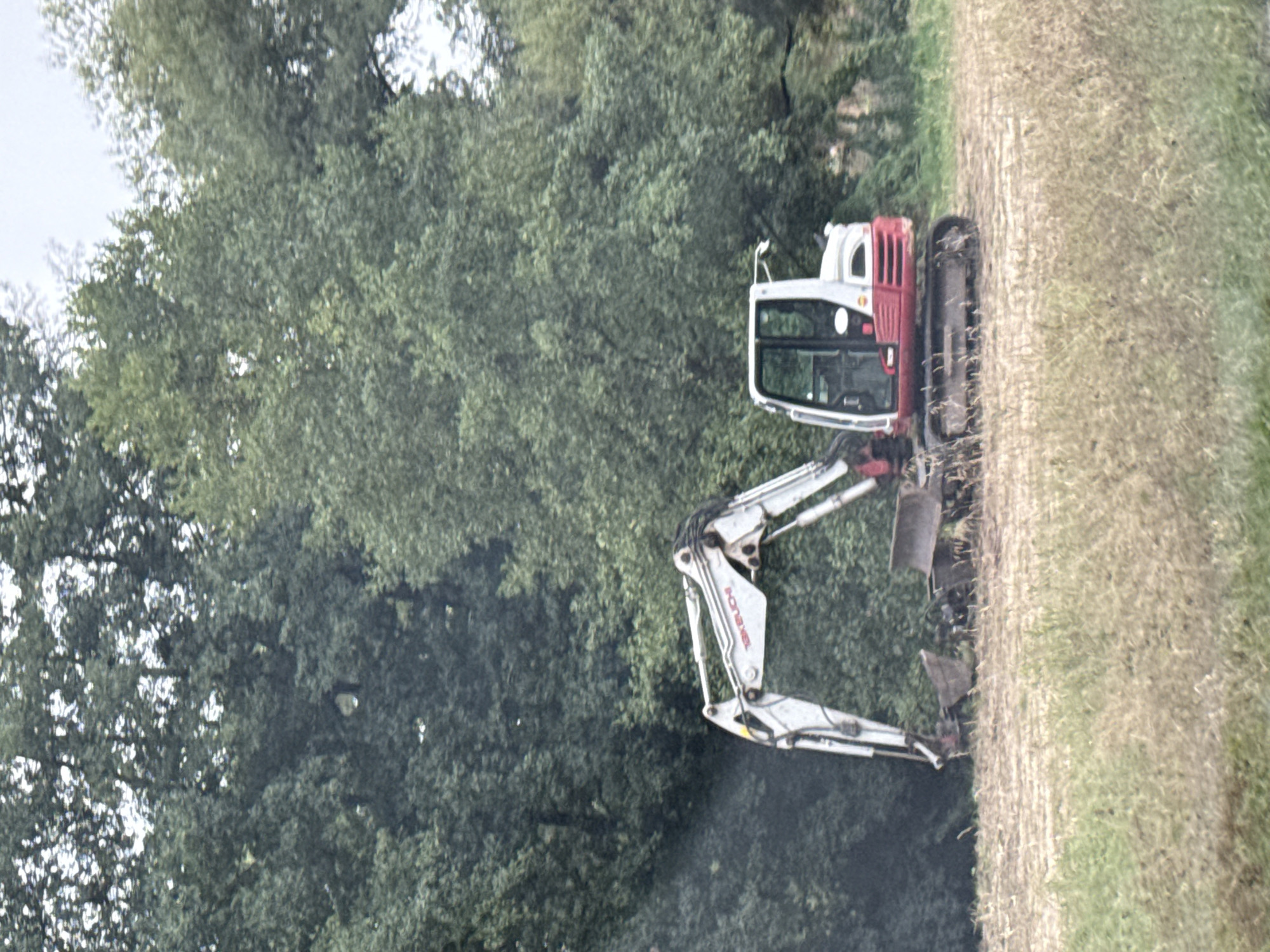 An excavator is parked in a field in Nordhausen, Germany. The excavator is white and red with a visible "TAKEUCHI" logo on its arm. It is positioned on tracks and appears to be idle. The field is covered in dry grass and some dirt, suggesting recent excavation or groundwork. Behind the field, a dense line of lush green trees forms a backdrop against a cloudy sky. The lighting suggests it is daytime.