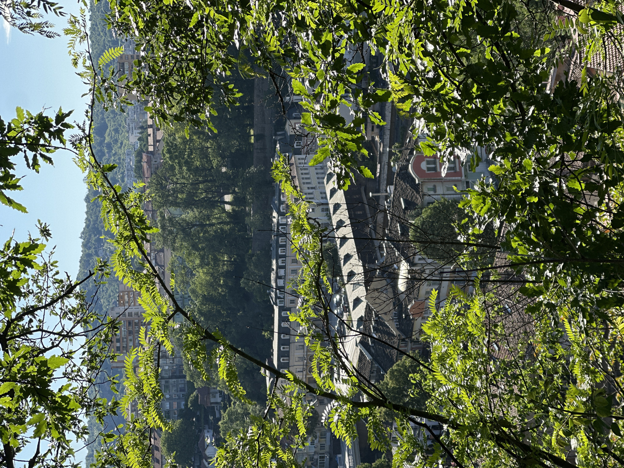 The image presents an elevated, panoramic view of a town nestled within a valley, framed by lush green foliage in the immediate foreground and surrounded by tree-covered hills in the distance. The setting suggests a serene landscape, likely Lovech, Bulgaria, viewed from a higher vantage point.
In the foreground, dense branches and leaves of various trees, including what appear to be oak and possibly acacia, dominate the upper, lower, and side edges of the frame. The bright sunlight filters through these leaves, illuminating them with a vibrant green hue and creating areas of translucency and stark shadow, indicating a clear, sunny day.
The midground reveals the town, comprising numerous buildings with a mix of architectural styles. Many structures feature sloped, tiled roofs in shades of red and brown. A prominent, elongated building with multiple stories and a series of windows is visible, possibly an apartment block or hotel, along with other smaller residential and commercial buildings. The town appears to be built along a river or a road that winds through the valley.
In the background, rolling hills densely covered in green trees rise up, forming a natural barrier around the town. A bright, clear blue sky is visible above the hills in the upper left portion of the image, with no clouds in sight. The strong shadows cast by the buildings and trees suggest it is daytime, likely late morning or early afternoon. No people or specific activities are discernible, and there is no visible text. The overall atmosphere is one of tranquility and natural beauty under a warm sun.