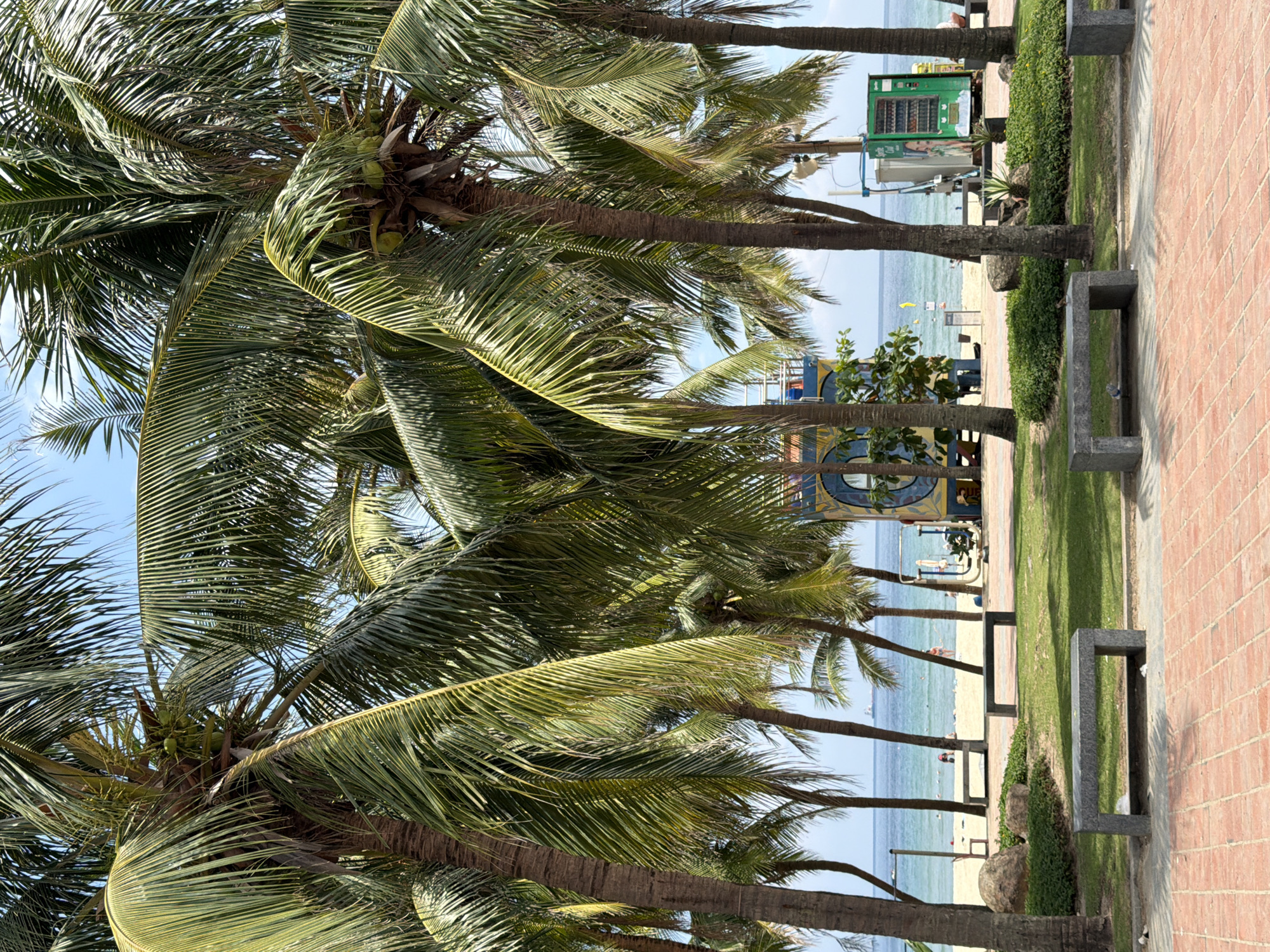 This image captures a vibrant scene at a beach in Da Nang, Vietnam, characterized by lush coconut palm trees lining a sandy shore. The foreground features a brick-paved walkway with two grey granite benches, hinting at a public recreational area. Beyond the benches, a well-maintained lawn gives way to a sandy beach.
In the mid-ground, a colorful lifeguard station, adorned with yellow and blue geometric patterns, stands prominently. Adjacent to it, a green vending machine offers refreshments. The ocean stretches out in the background, with a few people visible on the beach and in the shallow water, suggesting a typical day at the seaside. The clear blue sky and the presence of a distant cargo ship on the horizon contribute to the serene coastal ambiance. The overall atmosphere is one of leisure and relaxation, typical of a popular beach destination.