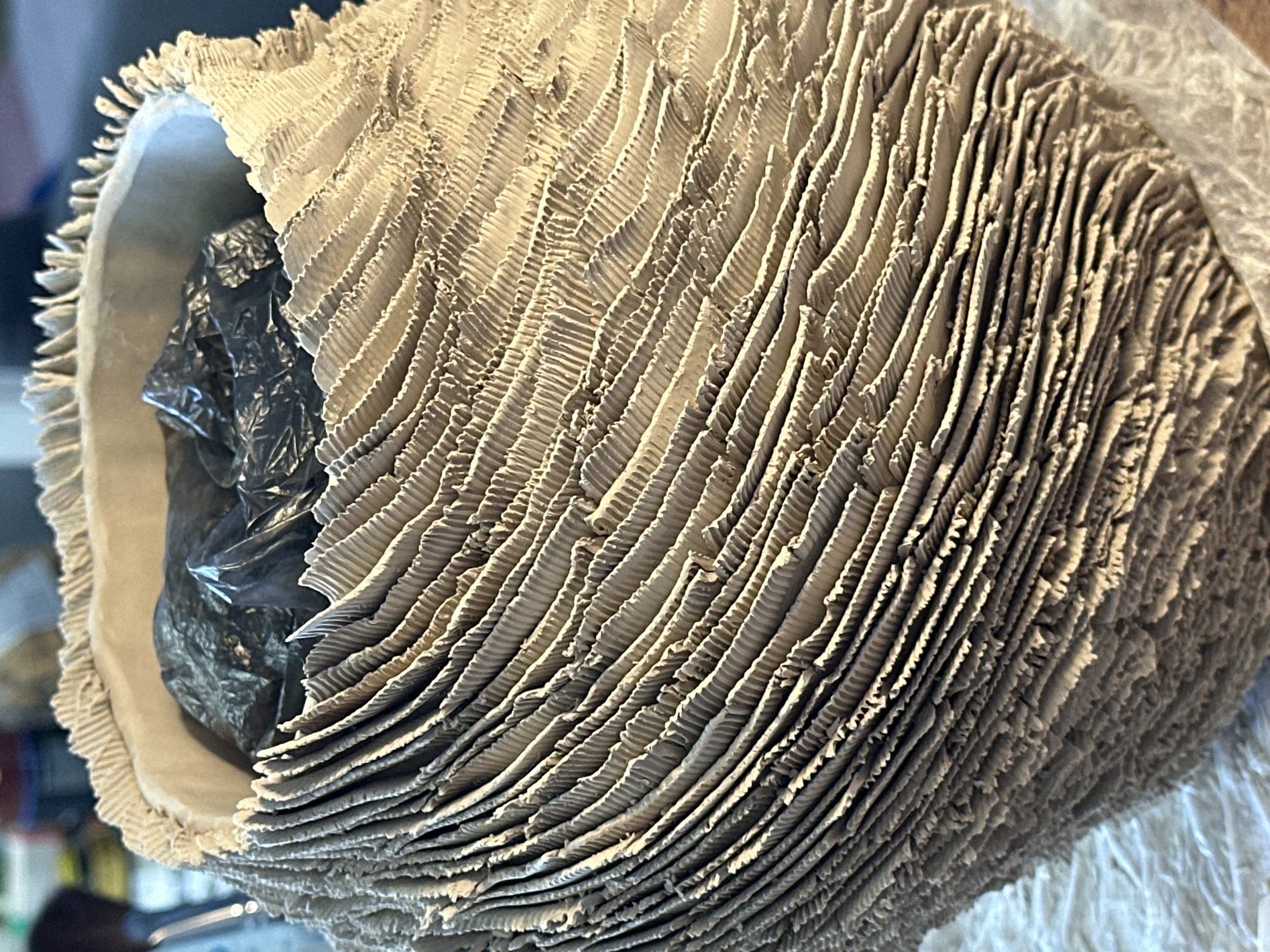 The image shows a close-up of a textured ceramic vessel, possibly a vase or pot, with a distinctive layered or fluted exterior. The color of the ceramic is a light tan or beige. Inside the vessel, a crumpled black plastic bag is visible. The background is blurred, suggesting an indoor setting, but no specific details of a location in Nevinnomyssk, Russia, can be determined from the image itself. The lighting highlights the textures of the ceramic.