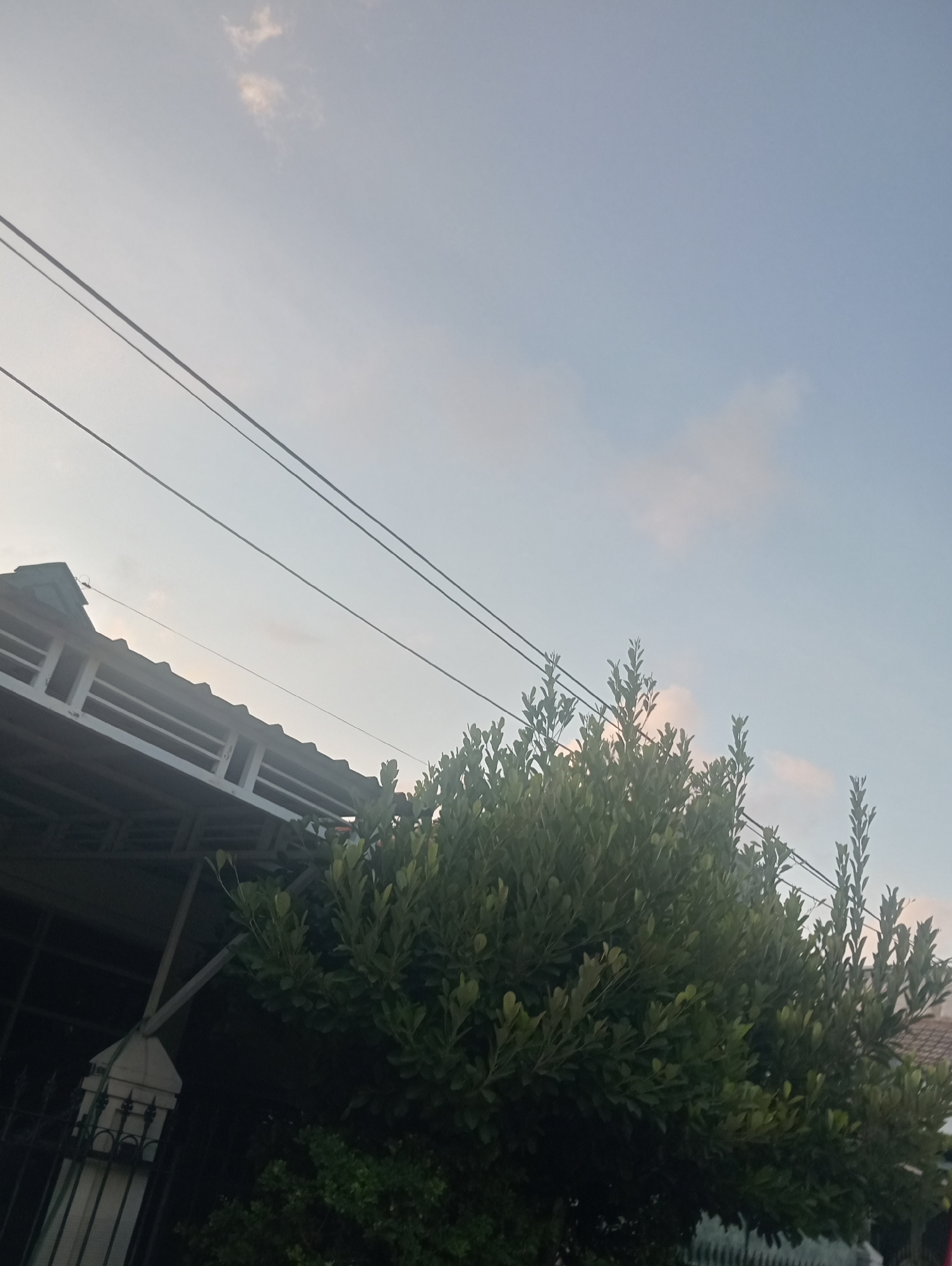 The image depicts an outdoor scene at dusk in Surabaya, Indonesia, as indicated by the soft, hazy light and the presence of overhead power lines. The foreground is dominated by a dense, green bush or tree with lush foliage, obscuring much of what lies behind it. To the left, a portion of a house's roof and upper wall is visible. The roof appears to be tiled and sloped, with a white, horizontal railing or trim along the edge. The wall underneath shows some structural elements, possibly supporting the roof. Further back and to the right, the roof of another house is partially visible, suggesting a residential area. The sky is a pale blue, with a few wispy clouds, some tinged with a soft pinkish-orange, consistent with a sunset or sunrise. Three parallel power lines stretch diagonally across the upper portion of the frame, adding to the urban or suburban context. The overall impression is a tranquil moment in a residential neighborhood as day transitions to night.