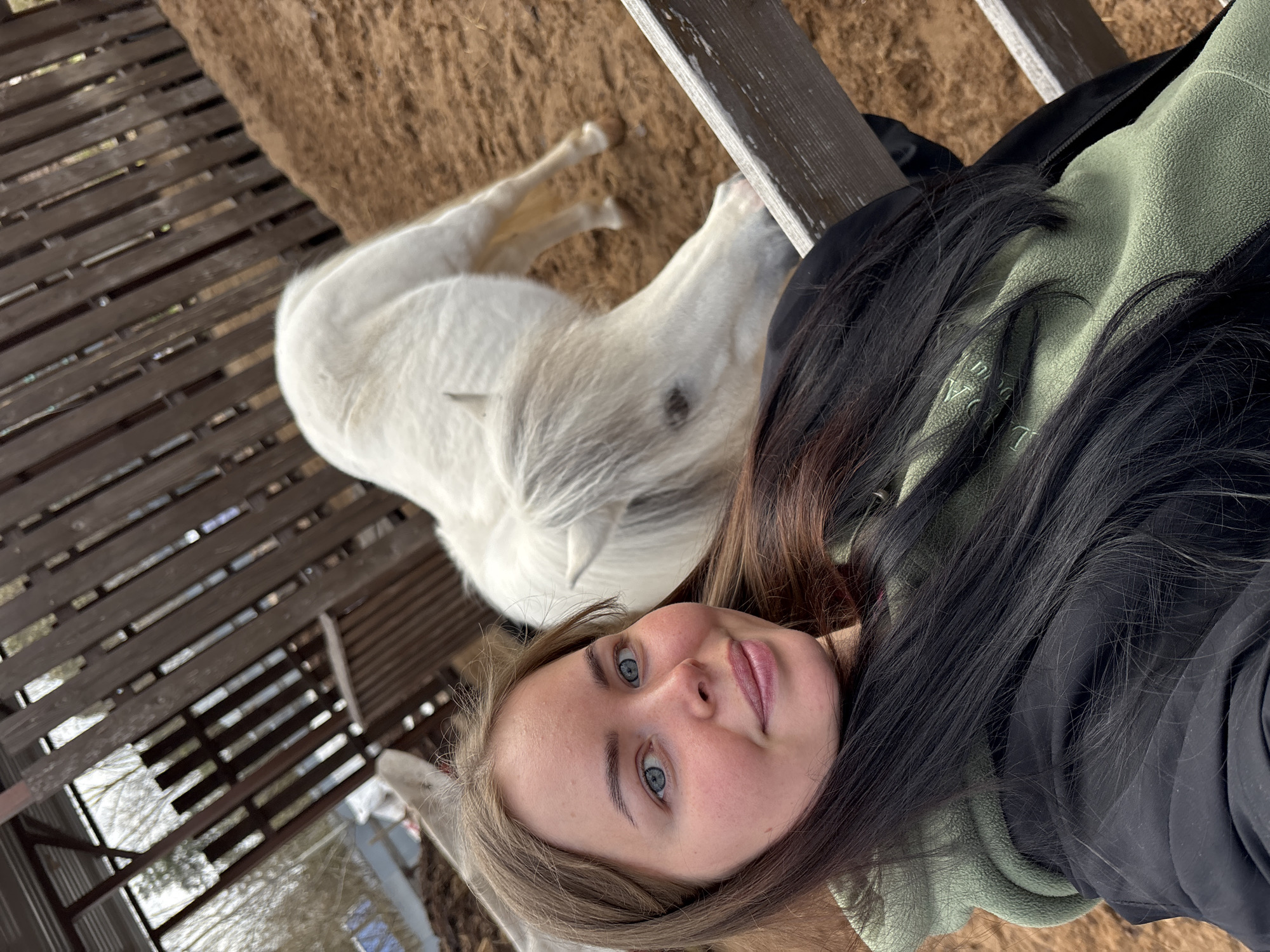A young woman is taking a selfie with a white pony. The woman has fair skin, blue eyes, and long dark hair. She is wearing a green sweatshirt and a black jacket. The pony is lying down next to her. The scene appears to be an outdoor enclosure with a wooden fence and dirt ground. The location is unknown.