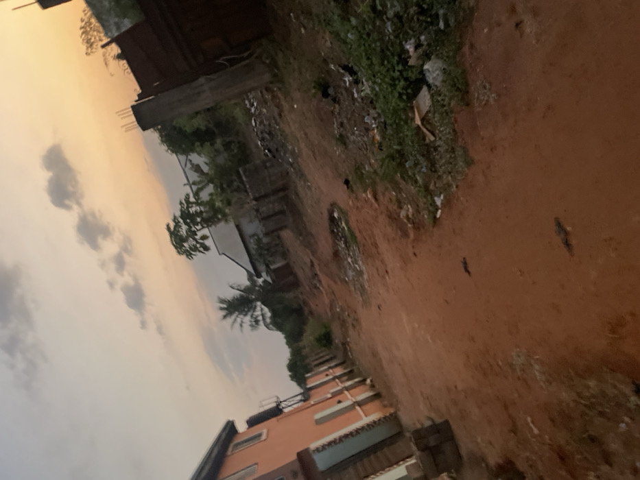 A slightly tilted view of a rural scene shows a dirt path running through the center. To the right, vegetation and debris border the path. On the left, houses of varying sizes and designs are visible, set against a cloudy sky with a touch of orange hues. A palm tree adds a tropical element to the landscape.