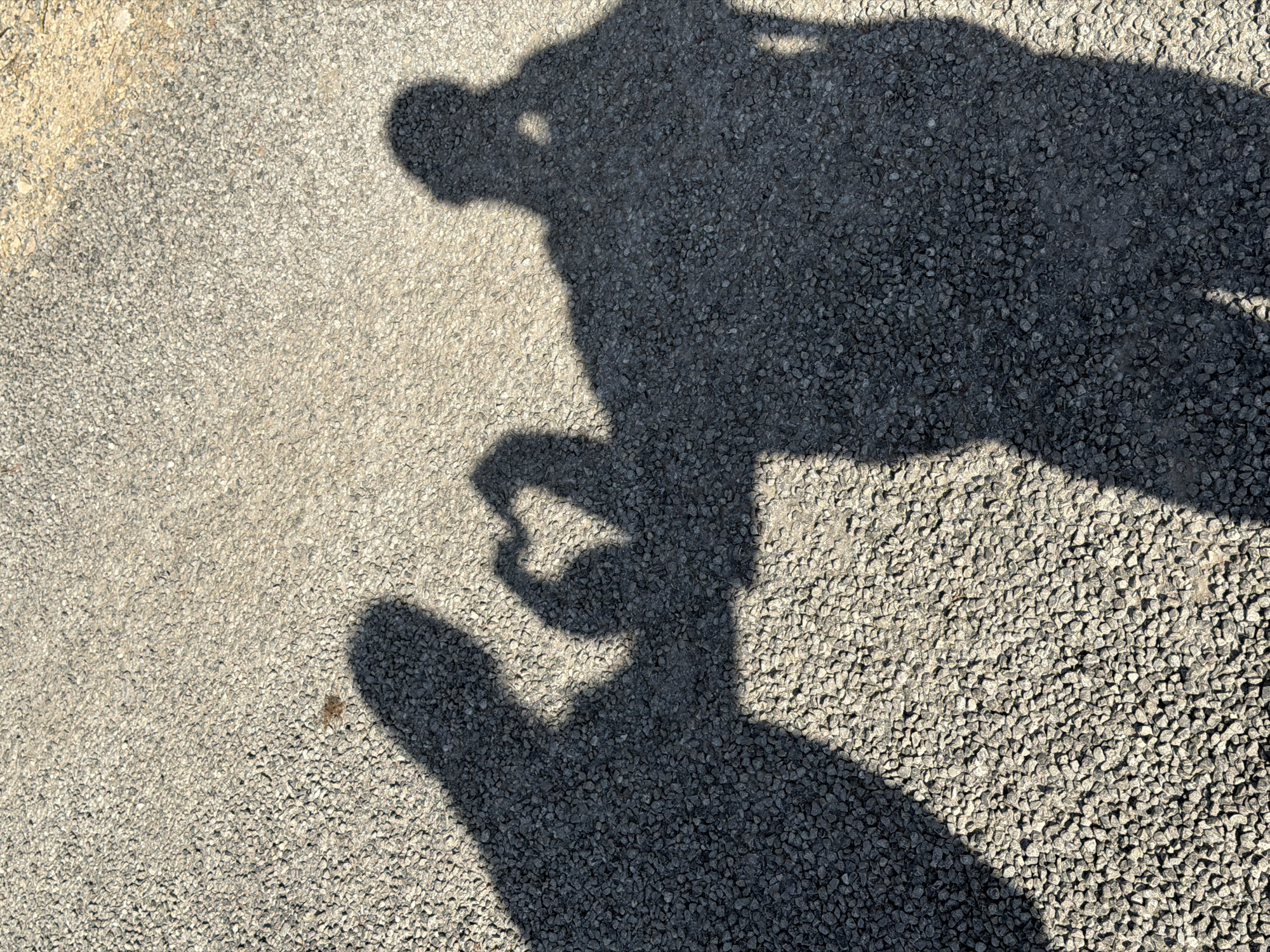 The image shows a shadow of a person and a camera on a gravel surface. The gravel appears to be light grey. The shadow is dark. The location of Dreiliņi, Latvia is not evident from the image.