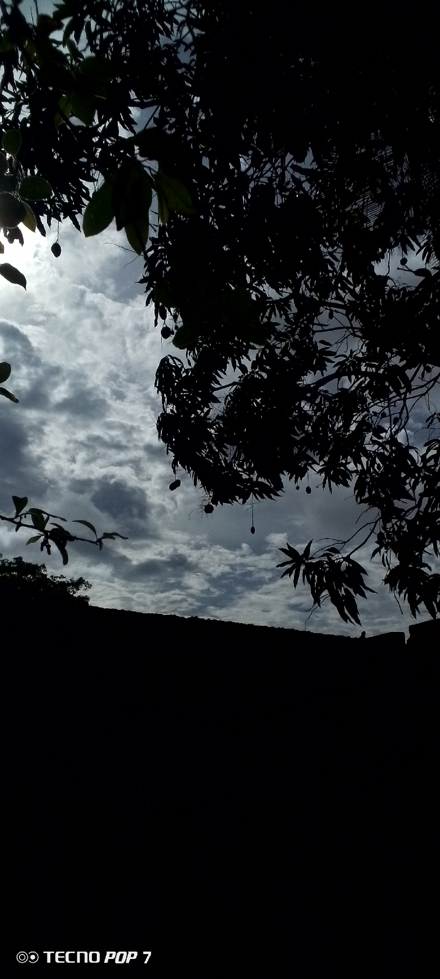 The image captures a silhouetted view of foliage against a cloudy sky. In the foreground, dark, indistinct shapes suggest a tree canopy with hanging fruits. The background is dominated by a textured sky with heavy, grey clouds. The bottom portion of the image is almost entirely black, obscuring any ground details. The bottom left corner of the image contains a watermark indicating "TECNO POP 7". The image appears to be taken from a low angle looking upwards. There is no visible indication of the city of Altagracia, Venezuela.