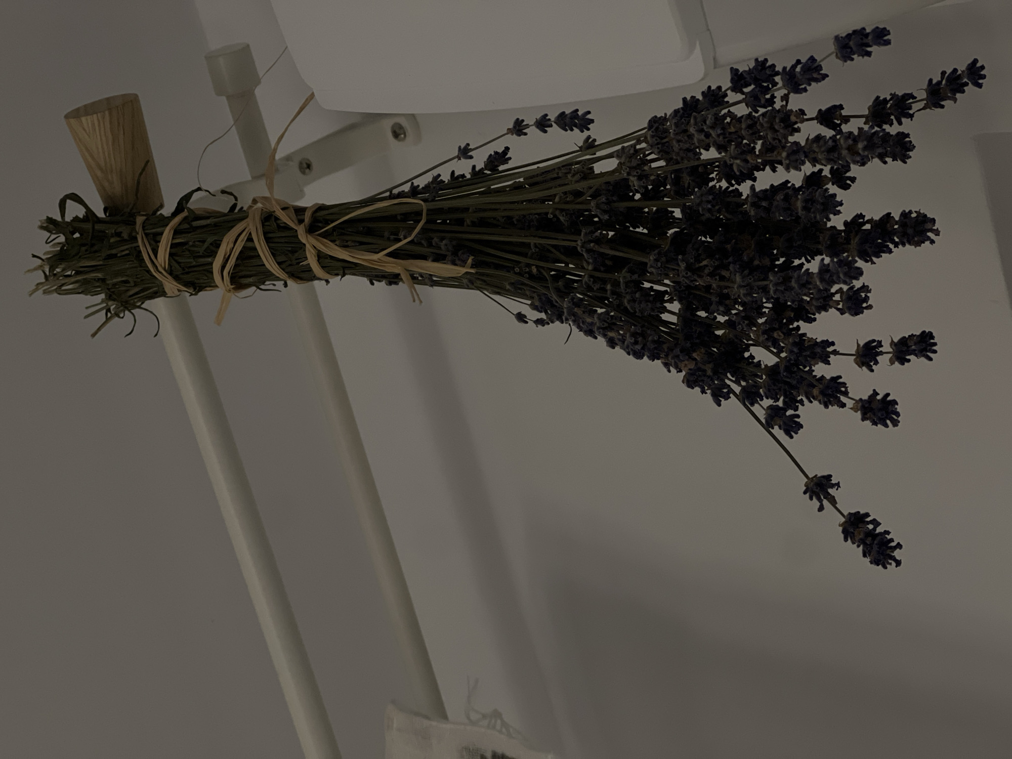 A bunch of dried lavender is hanging from a horizontal bar, suspended by straw ties. The lavender is dark purple and appears to be a few inches long. The background is a plain white wall, and the lighting is dim. The scene is indoors, possibly in a home or shop. There is no indication of the location in Florești, Romania.