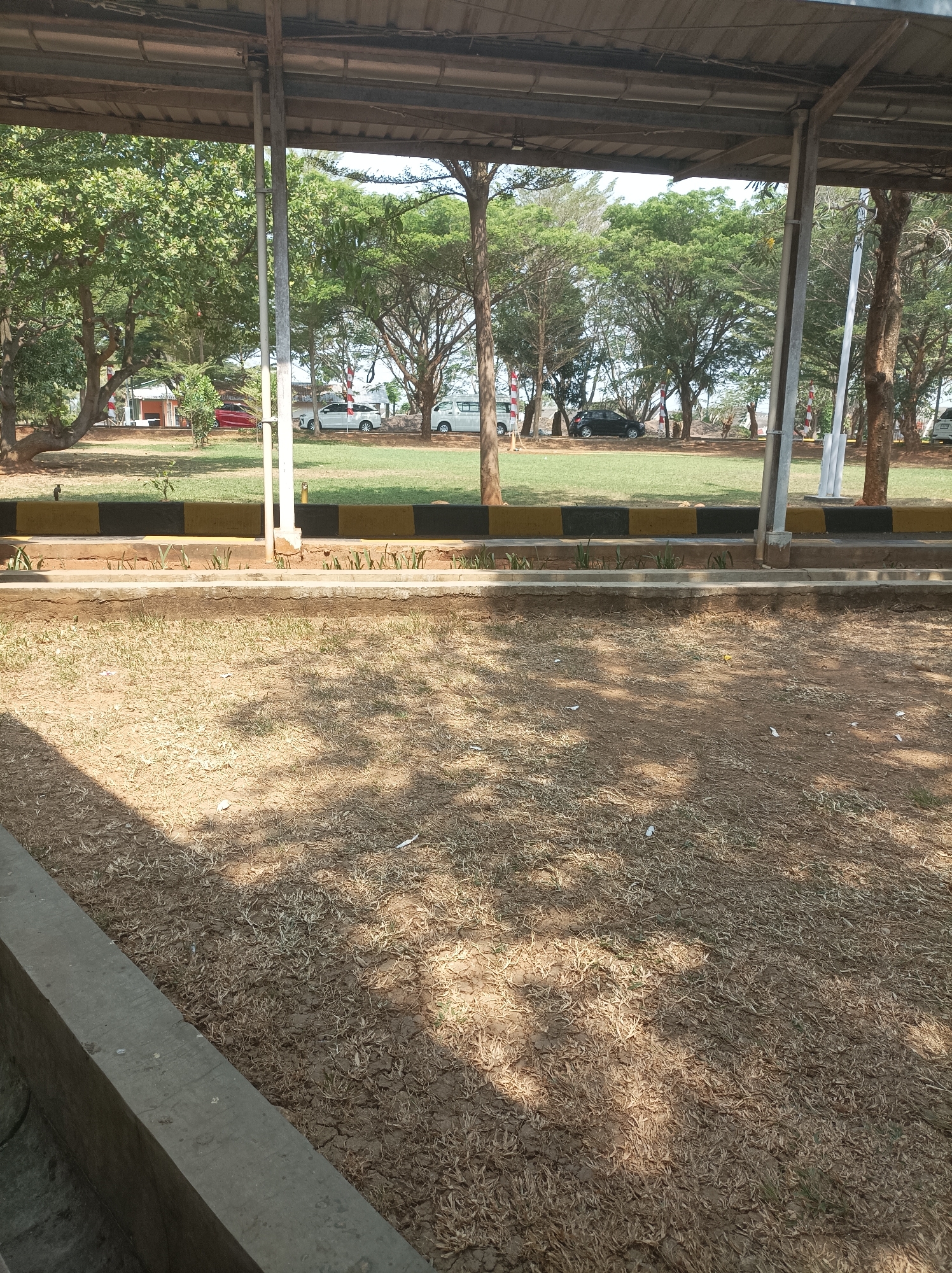 The image depicts an outdoor scene under a covered walkway, likely in Sarajaya, Indonesia, with a view of a parking area and greenery. In the foreground, a patch of dry, patchy grass covers the ground, with shadows from the overhead structure and trees dappling the surface. To the left, a concrete barrier forms the edge of the covered area.
Beyond the immediate foreground, there is a raised concrete planter bed with some sparse, green vegetation. Behind this planter is a curb painted with alternating black and yellow stripes, serving as a visual boundary.
Further back, a grassy area is visible, with several trees dotting the landscape. In the background, a paved area serves as a parking lot. Several vehicles are parked, including white cars, a black car, and a white van. Red and white striped poles, possibly part of a fence or bollards, are interspersed among the trees. The overall impression is a somewhat arid, sunny environment with a mix of man-made structures and natural elements. The sky is visible in the distance, appearing bright and clear.