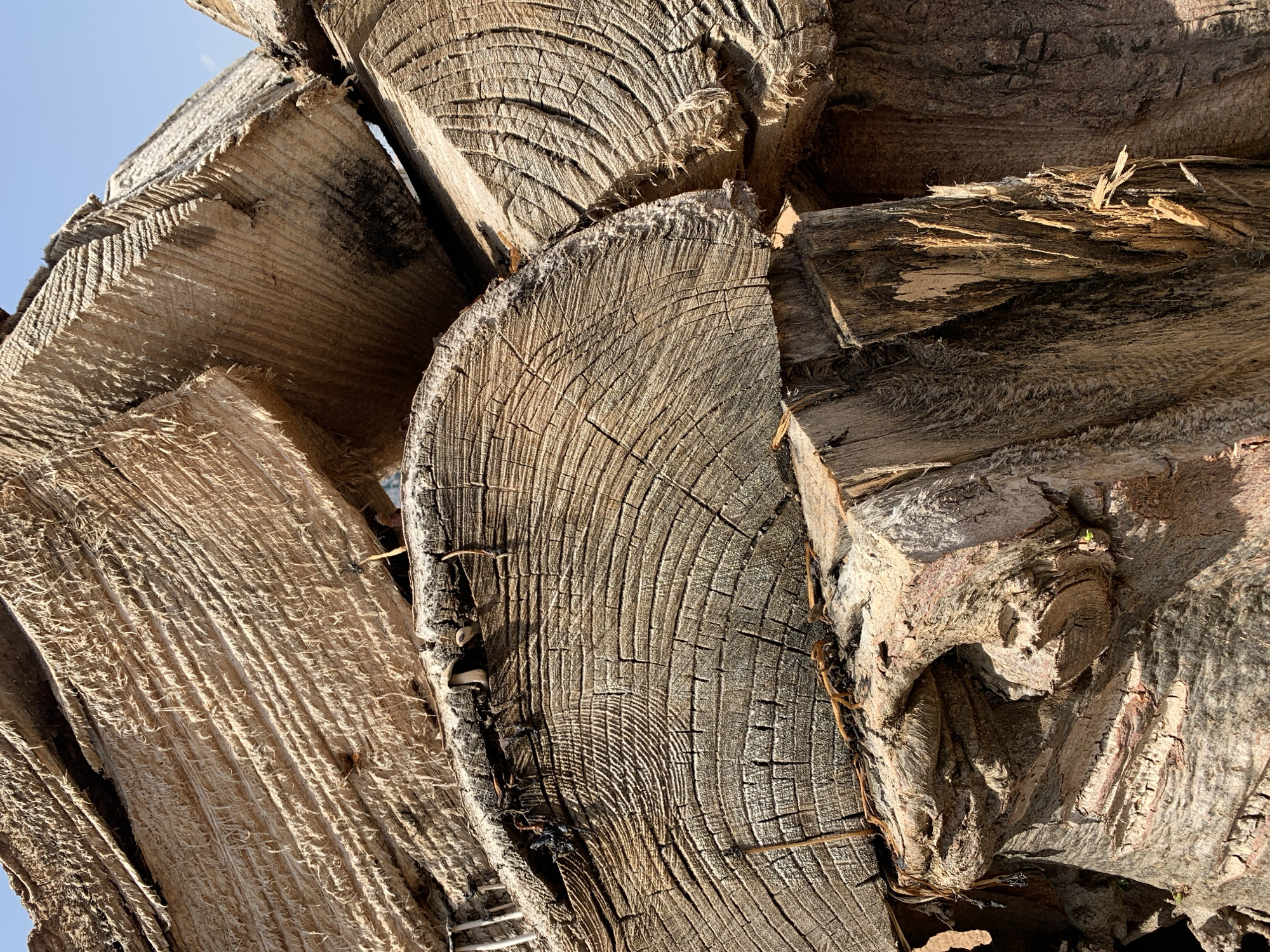 The image displays a close-up, low-angle shot of a pile of rough-cut wooden logs. The logs are stacked unevenly, with some showing clear growth rings and a weathered, splintered texture. The wood appears dry and aged, with variations in color from light tan to darker brown, and some patches of blackening, possibly from charring or rot. The surface of some logs exhibits fine, hair-like fibers extending from the grain, particularly on the upper surfaces. The background is a bright, clear blue sky, suggesting an outdoor setting. There are no visible people, animals, or any signs of human activity other than the presence of the cut wood itself. The overall impression is one of natural decay and the raw state of timber. There is no information within the image to suggest a location in Rafin Par, Nigeria.
