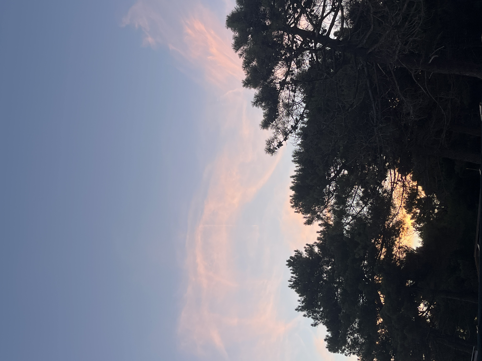 This is a vertical, eye-level, outdoor, mid-shot photograph taken during twilight. The upper two-thirds of the image are dominated by a gradient sky, transitioning from a pale blue at the top to a soft pinkish hue near the horizon. Wispy, pink clouds are scattered across the sky, some appearing stretched and streaked, suggesting wind.
The lower third of the image is filled with the dark silhouettes of pine trees. Their branches are dense, and some small cones are visible. The trees obscure the setting sun, but a faint orange glow emanates from behind them, indicating the sun is low on the horizon, likely setting or just below it. The overall impression is a serene twilight scene over a wooded area, possibly on the outskirts of a city or in a natural park. The location is identified as Pistula, Montenegro. There are no people or specific actions depicted in the image.