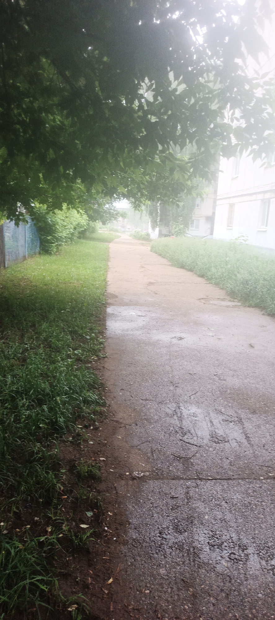 The image displays a quiet, hazy pathway winding through a green, residential area in Chaikovsky, Russia. The path, made of concrete or asphalt, appears damp in areas, suggesting recent rain or high humidity, and recedes into the diffused distance. Lush green grass and dense vegetation line both sides of the path. On the left, a blue fence is partially obscured by overgrown bushes, while on the right, the mist partially veils light-colored, multi-story residential buildings with visible windows.
An overarching canopy of trees with green leaves frames the top of the scene, through which sunlight is softly filtered and diffused by the pervasive haze. This atmospheric condition lends a serene, almost ethereal quality to the daylight scene. No people or specific activities are visible, contributing to the tranquil and still ambiance. There is no visible text in the image.