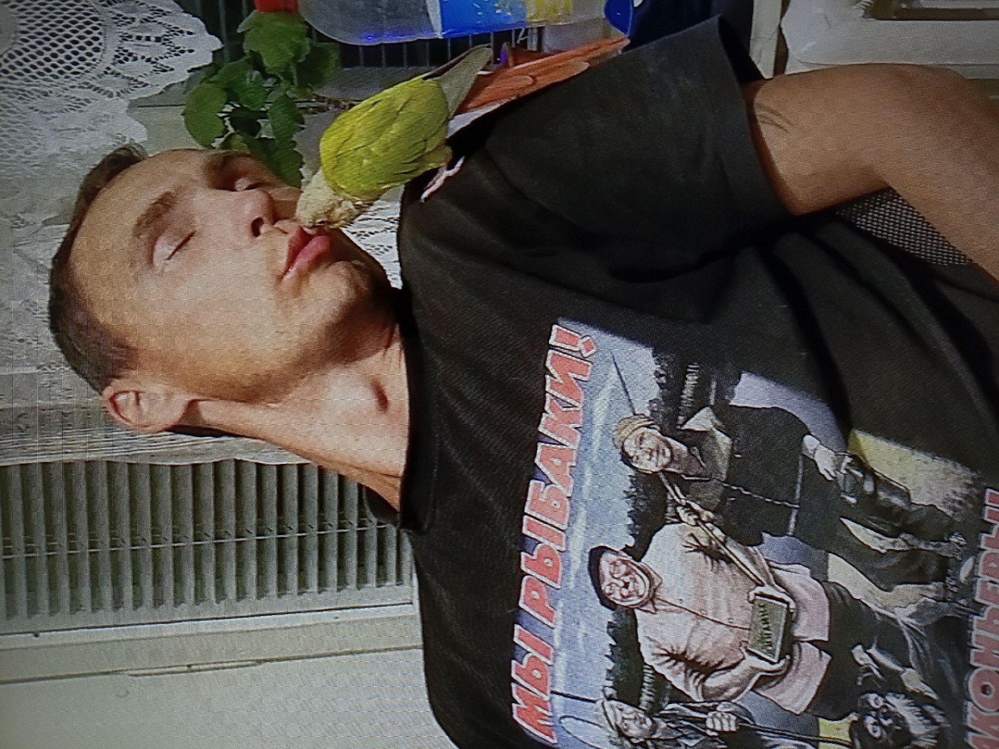 A person with closed eyes, appearing to be asleep, is leaning their head to the right, with their mouth slightly open. A green and yellow parrot is perched on their shoulder, with its beak touching the person's lips. The person is wearing a black t-shirt with a graphic design featuring three men, two dogs, and a landscape. The t-shirt has Russian text that reads "МЫ РЫБАКИ!" (We are fishermen!). The person has a tattoo on their right arm. The background shows vertical blinds, a lace curtain, a plant, and a plastic bottle. The scene appears to be indoors, possibly a home environment, in Tiraspol, Moldova.