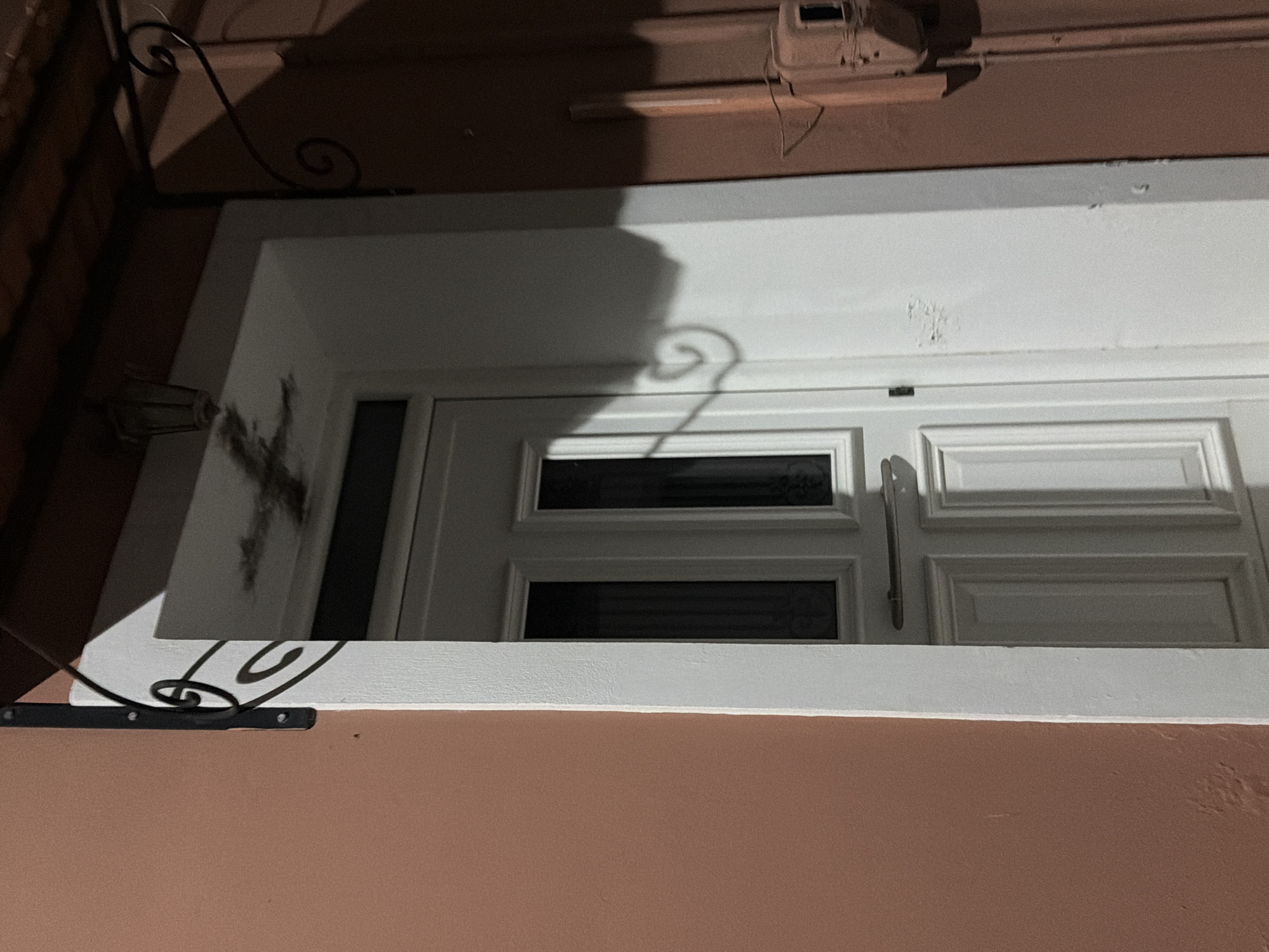 The image shows a white double-paneled door with a silver handle, set within a white doorframe. The door is flanked by a salmon-pink wall on the left and a reddish-brown wall on the right. Above the door is a dark roof overhang, with a small lantern hanging from it. Decorative black metal scrollwork is attached to the overhang on both sides, casting shadows on the walls and door. A light fixture is visible above the door, and a shadow from the scrollwork is cast on the white doorframe, resembling a swirling vine. A metal utility box is mounted on the reddish-brown wall to the right of the door. The scene appears to be an exterior view of a building entrance. The location is the Municipal Unit of Alyzia, Greece.