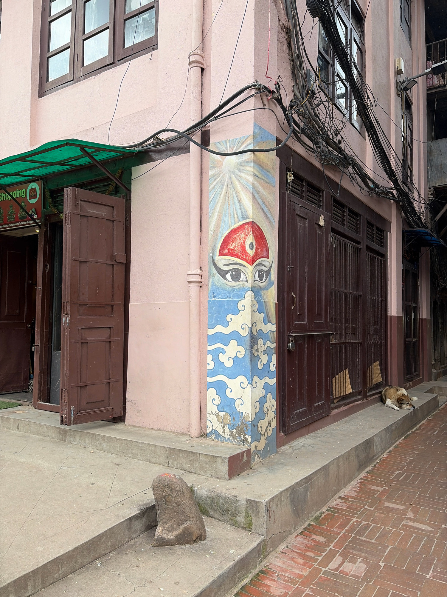 The image shows a narrow street in Lalitpur, Nepal. A pink building dominates the scene, with wooden doors and windows. A green awning extends over one of the entrances. The building's corner is decorated with a mural of eyes and clouds. A dog is lying on the pavement in front of a doorway. The street is paved with red bricks. The overall impression is one of a typical street scene in a Nepalese city, with a mix of traditional and modern elements.