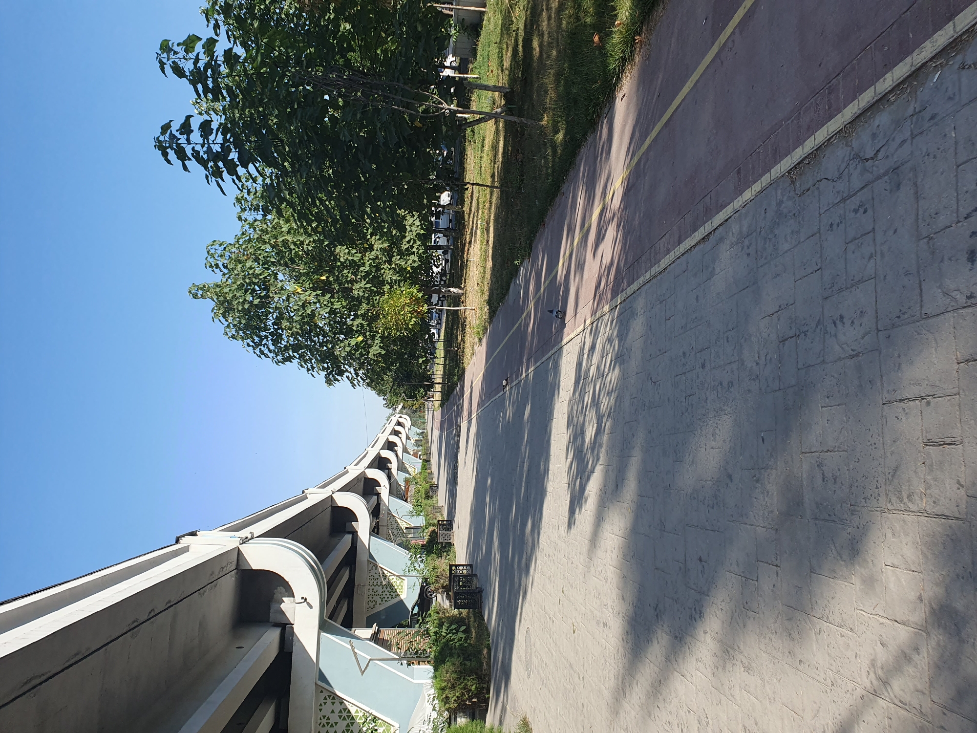 The image depicts a pedestrian walkway and a bike path under a large, elevated overpass. The overpass, likely part of Tashkent's infrastructure, casts shadows on the textured paving stones of the walkway and the red bike path. On the left, the overpass's concrete supports are decorated with a light blue and white patterned motif. Benches and green bushes are visible along the walkway. A line of trees with lush green foliage borders the bike path on the right, with a few cars parked beyond them. The sky is clear and blue, suggesting a sunny day. A pigeon is present on the bike path in the middle ground. The scene appears to be a public area in Tashkent, Uzbekistan, designed for recreation and transportation.