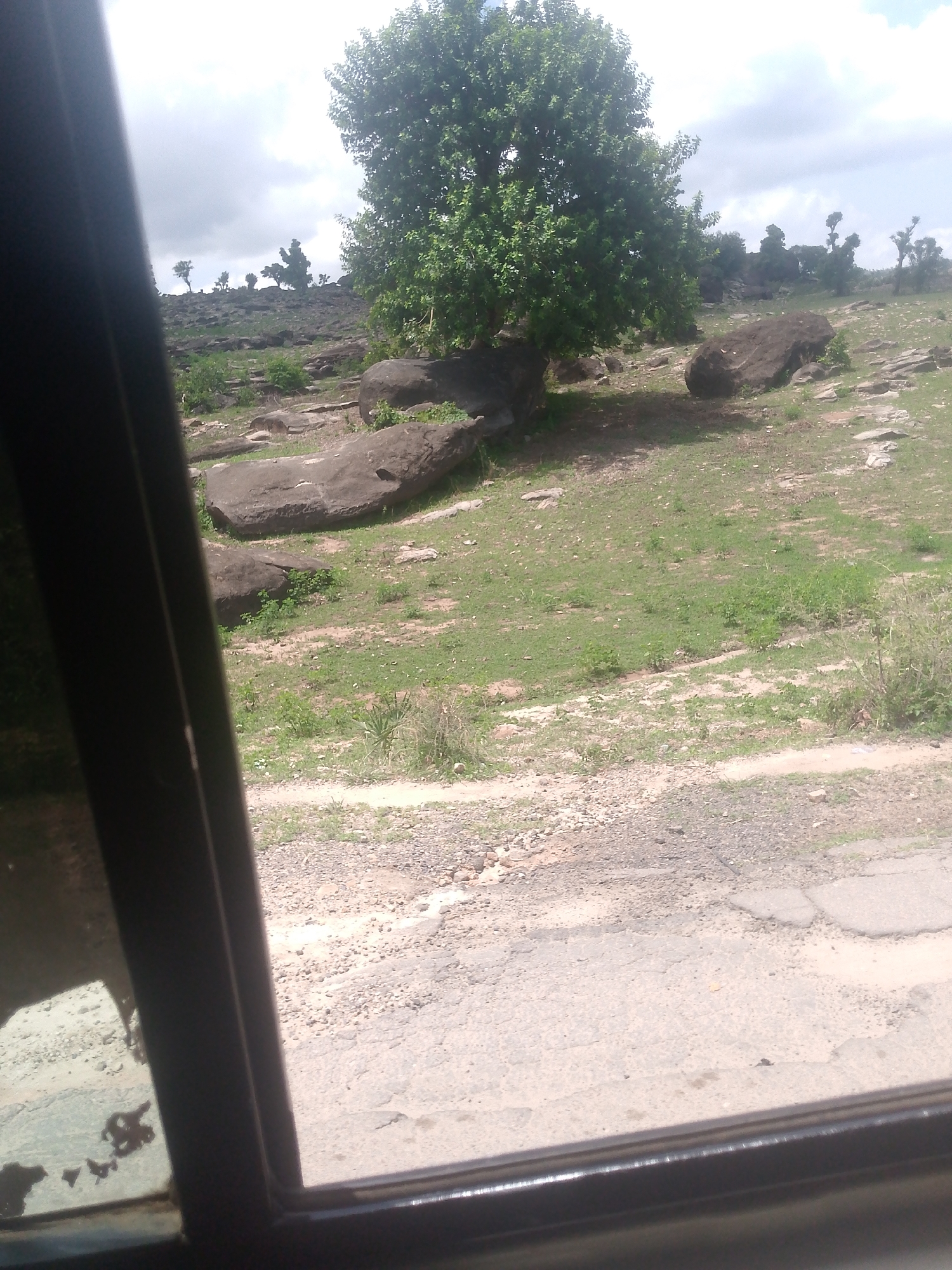 The image captures an outdoor landscape, observed from a vantage point likely inside a vehicle, evidenced by a dark window frame bordering the left and bottom sections. The sky above is predominantly overcast with grey clouds, providing diffused natural light. In the immediate foreground, a rough, unpaved road surface composed of dirt and scattered aggregate is visible, transitioning to a somewhat damaged, lighter grey paved section at the bottom edge. Moving into the midground, the terrain slopes gently upward, characterized by sparse green grass interspersed with numerous large, dark, irregularly shaped boulders. A large, deciduous tree with a full, vibrant green canopy stands prominently on the right side, casting a soft shadow beneath it. Further in the background, the landscape continues to rise, featuring additional, less dense trees scattered across the rocky hills. No individuals, animals, or explicit actions are discernible within the scene. The setting appears natural and rural, located in Unknown, Unknown.