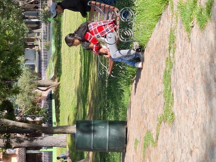 Memory