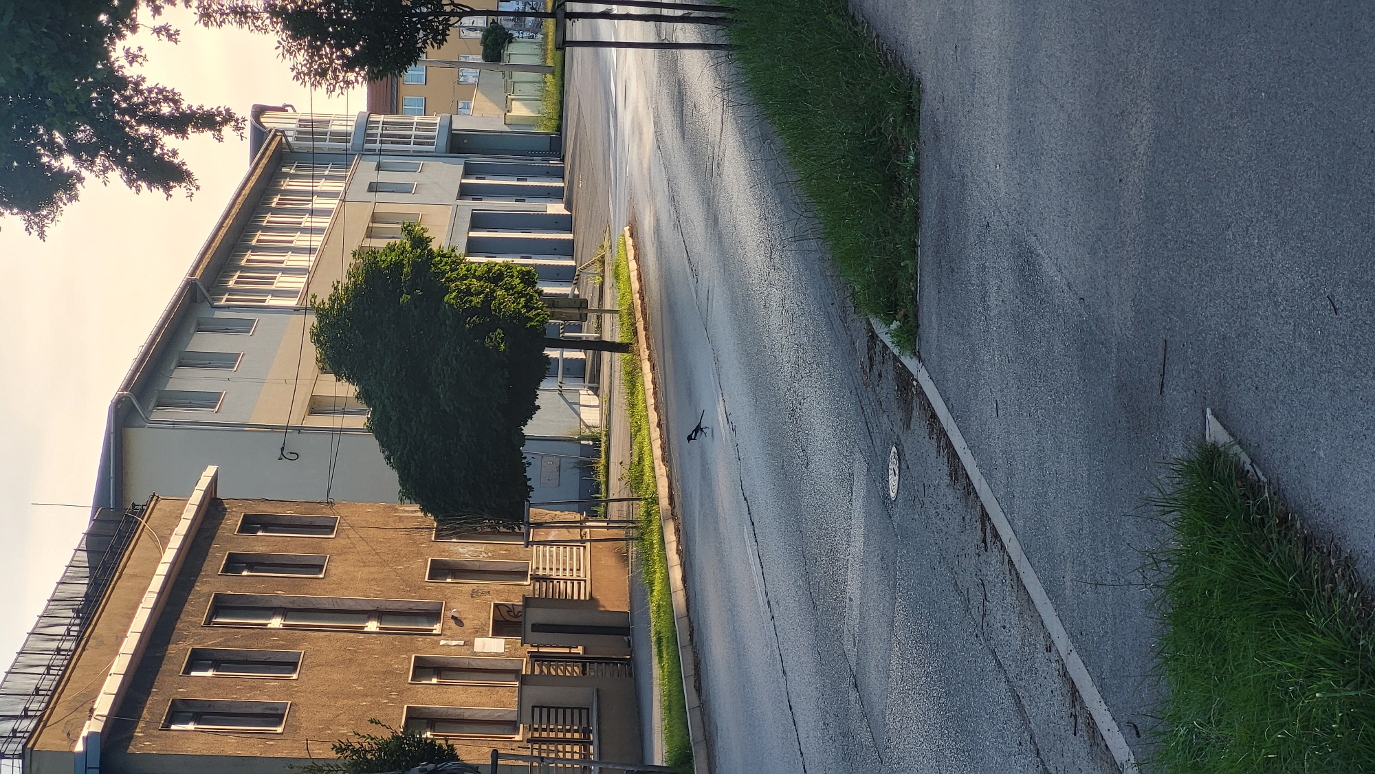An eye-level, medium shot captures a street scene in Prešov, Slovakia, bathed in the warm, soft light of early morning or late afternoon. The asphalt road, marked with a faint white line and cracked in several places, stretches towards the background, reflecting the golden glow of the sky. A lone bird, likely a magpie due to its black and white plumage, stands in the middle of the road, facing left.
On the left side of the road, a two-story building with a textured, tan facade features several windows and a white awning. Adjacent to it, a fence made of horizontal wooden slats delineates a grassy area. Further down the street, a row of garages with large, light blue doors is visible, part of a larger building with a light gray and white exterior. A distinctive curved section with large windows adds architectural interest to this building. Mature trees with dense green foliage are strategically placed along the sidewalk and in front of the buildings, casting shadows on the road.
The sidewalk on the right is bordered by a strip of overgrown green grass. The overall impression is one of quiet urban life, with the natural element of the bird and trees providing a contrast to the man-made structures.
