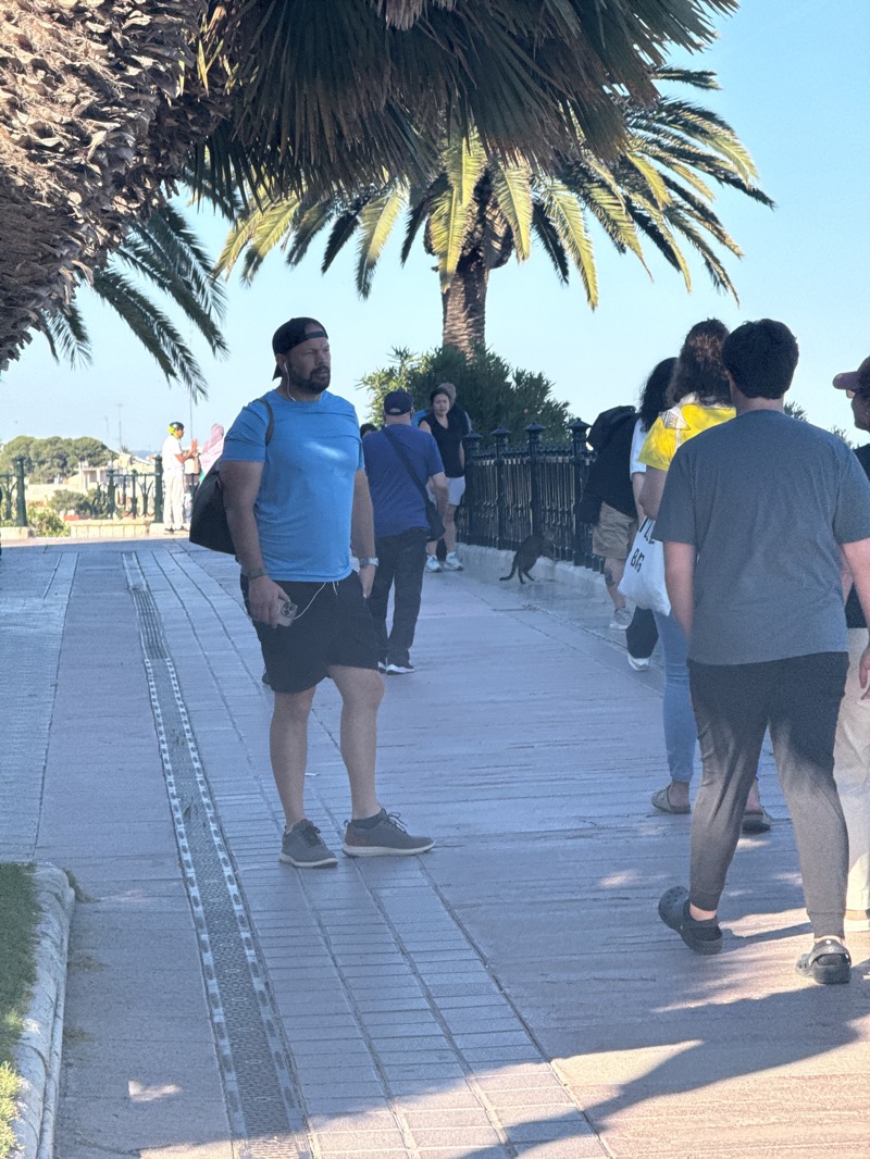 The image was taken in Tarragona, Spain, on a paved walkway with palm trees overhead. In the foreground, a man wearing a blue t-shirt, black shorts, a black baseball cap, and grey sneakers stands holding his phone. Behind him, a group of people walk towards the right. A black metal fence separates the walkway from a lower area, where more people can be seen, including someone wearing a white outfit. A black cat is walking on the other side of the fence. The sky is clear and blue.