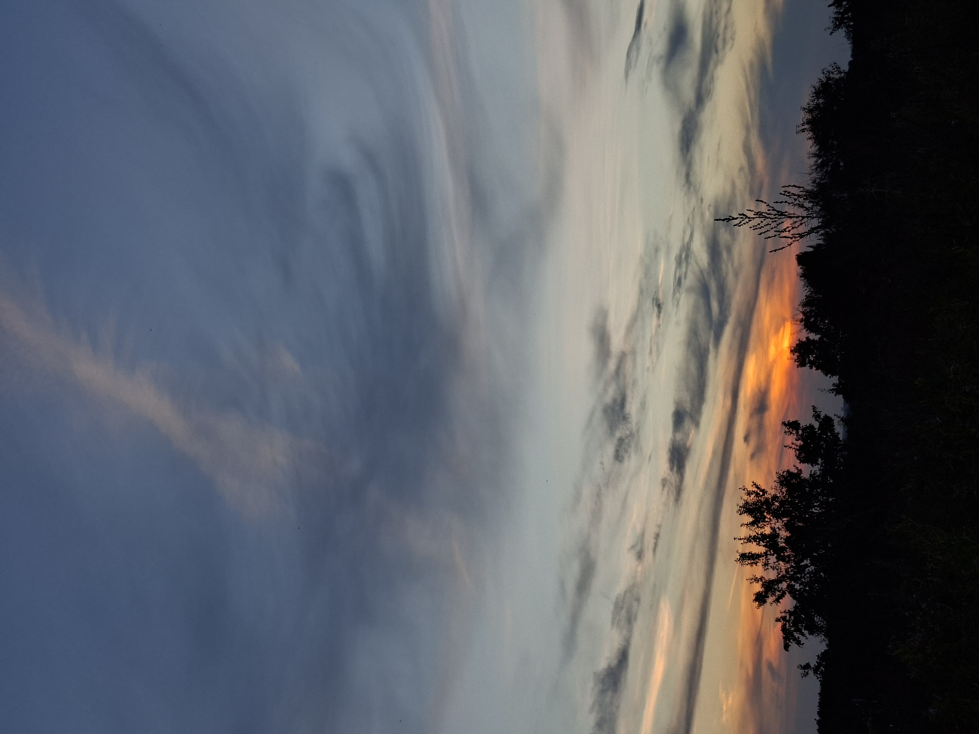 The image shows a natural landscape at dusk or dawn. The sky is filled with clouds, exhibiting a gradient of colors from deep blue at the top to lighter blues and oranges near the horizon. Wisps of clouds are stretched across the sky, with a distinct contrail visible in the upper portion. The foreground is dominated by the dark silhouettes of trees and vegetation, suggesting a wooded or overgrown area. The lighting indicates a low sun angle, casting the landscape in shadow and highlighting the sky's colors. The location is described as Unknown, Unknown within a city.