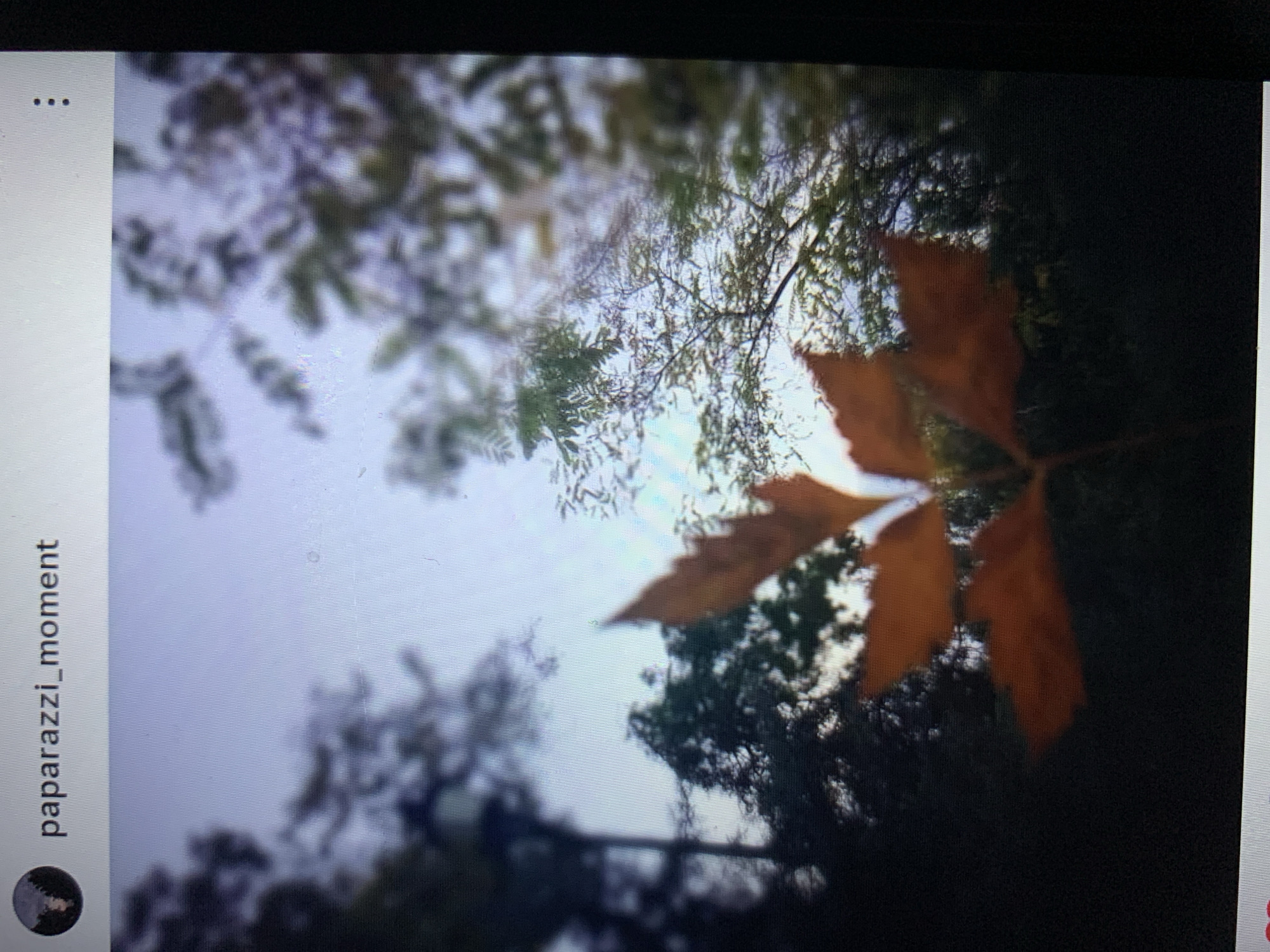 The image displays a close-up of an orange leaf against a blurred background of trees and sky. The leaf appears to be falling or caught in a breeze. The background is out of focus, with a bright sky and darker foliage suggesting an outdoor setting. At the top left of the image, there is a profile picture and the text "paparazzi_moment". There is no information or visual evidence within the image that places it in the city of Lymanka, Ukraine.
