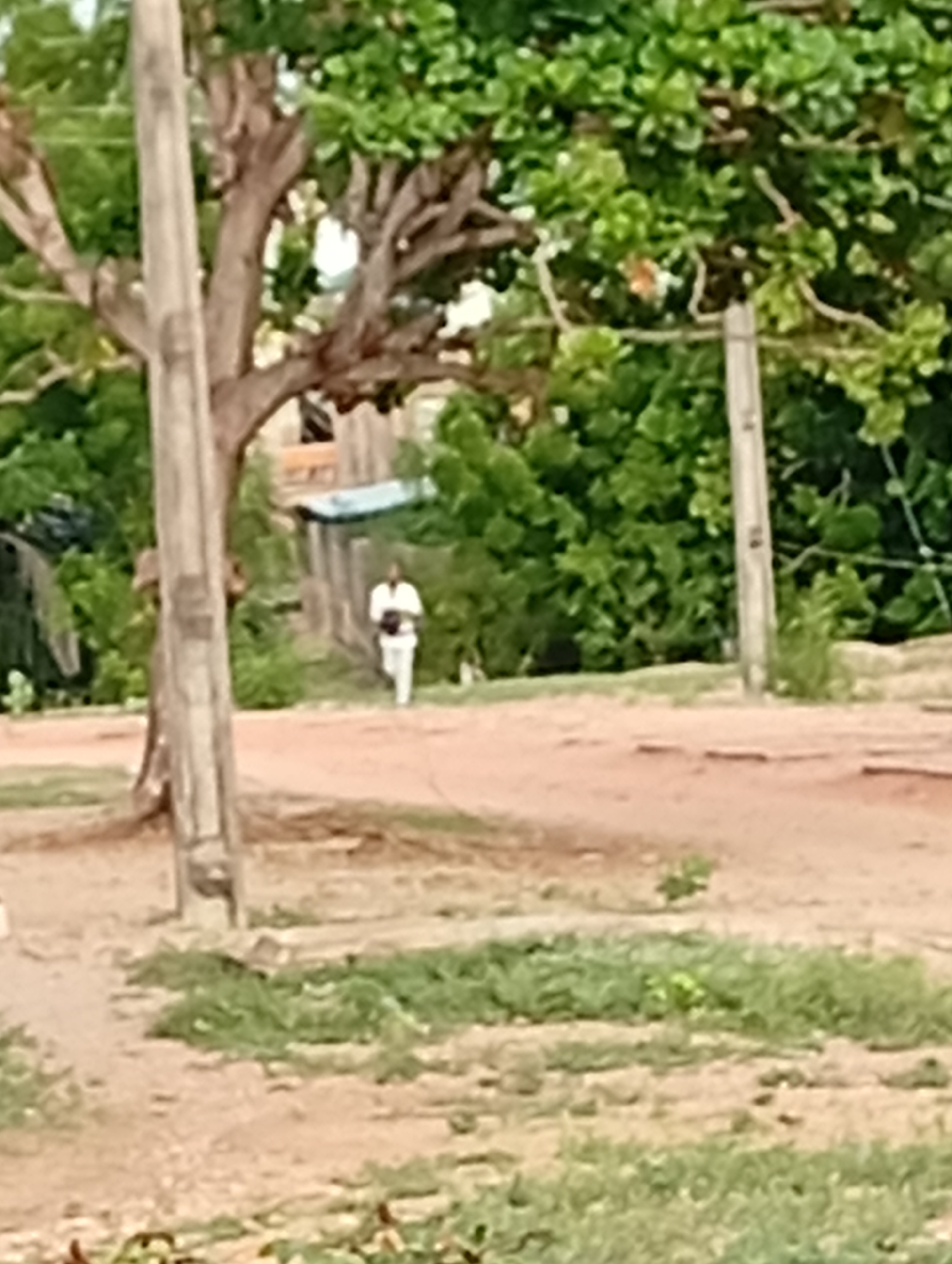 The image shows a dirt road in Adankolo, Nigeria, with sparse grass growing on the verges. Two wooden utility poles flank the road. A person wearing light-colored clothing is walking away from the camera down the road. Lush green foliage dominates the background, partially obscuring a fence and a glimpse of a structure.