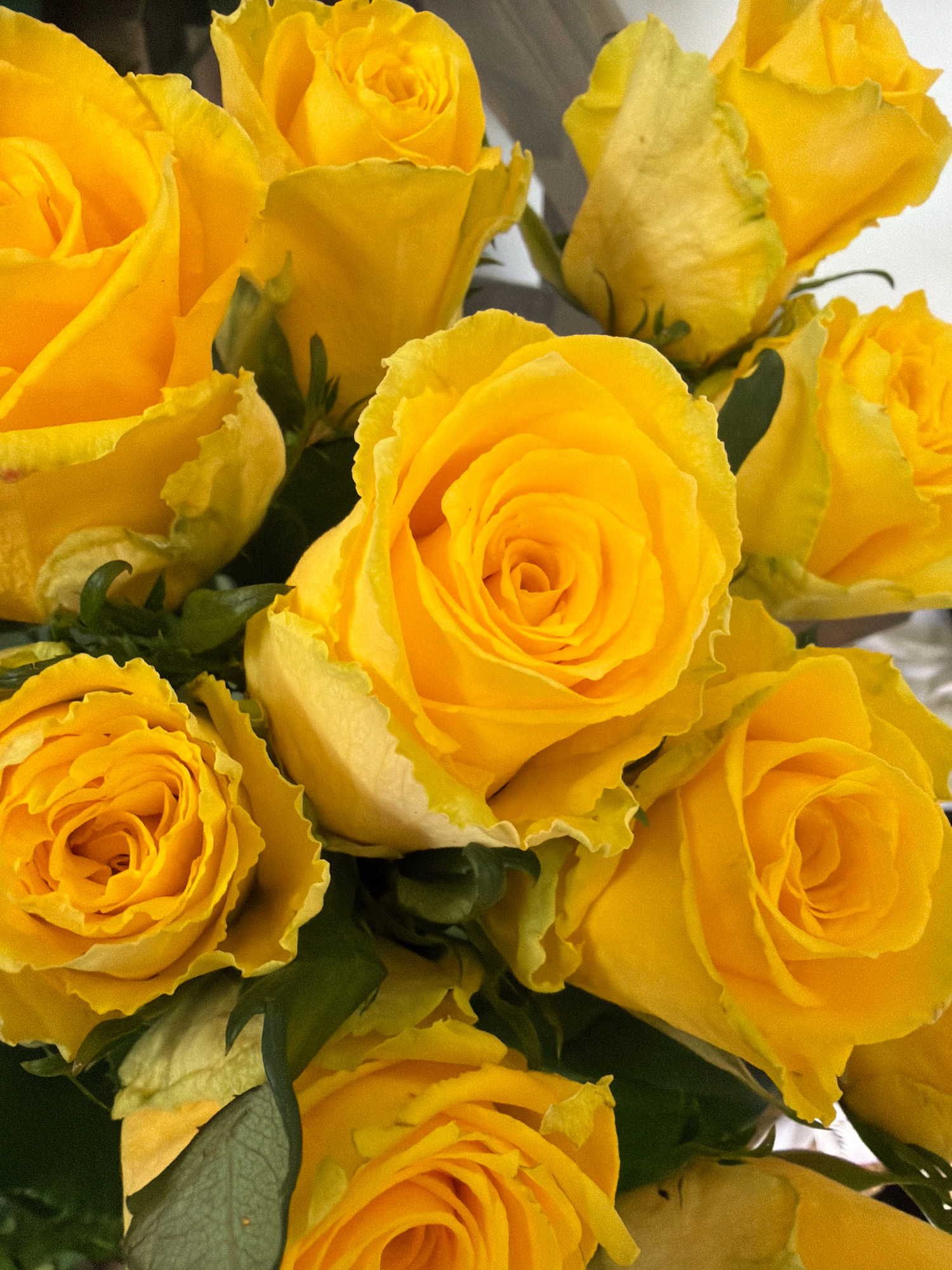 This is a close-up, low-angle, indoor photograph of a bouquet of yellow roses. The roses are in various stages of bloom, with some fully open and others still tightly budded. Their petals are a vibrant yellow, with some exhibiting hints of green around the edges. Dark green leaves and stems are visible throughout the bouquet, providing a contrast to the bright flowers. The background is softly blurred, suggesting an indoor setting such as a florist's shop or a home. There are no people or specific landmarks visible that would indicate a location within Szerencs, Hungary.