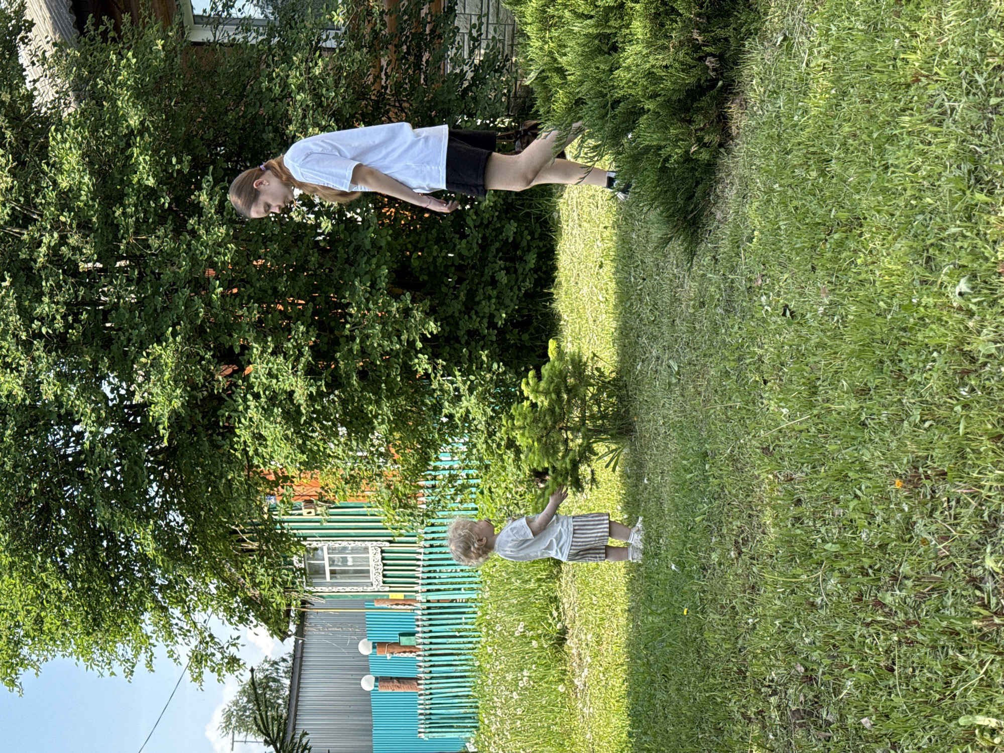 The image captures a scene in Красный Маяк, Russia. A child, likely a toddler with curly blond hair, stands on a grassy area near a small evergreen tree. Behind the child, a blue-green picket fence is visible, along with parts of a building or house. An older girl or young woman stands on a grassy area bordered with a bush. She is wearing a white t-shirt and dark shorts. The ground is covered with grass and wildflowers, suggesting a garden or yard. The overall impression is a sunny, casual outdoor setting.